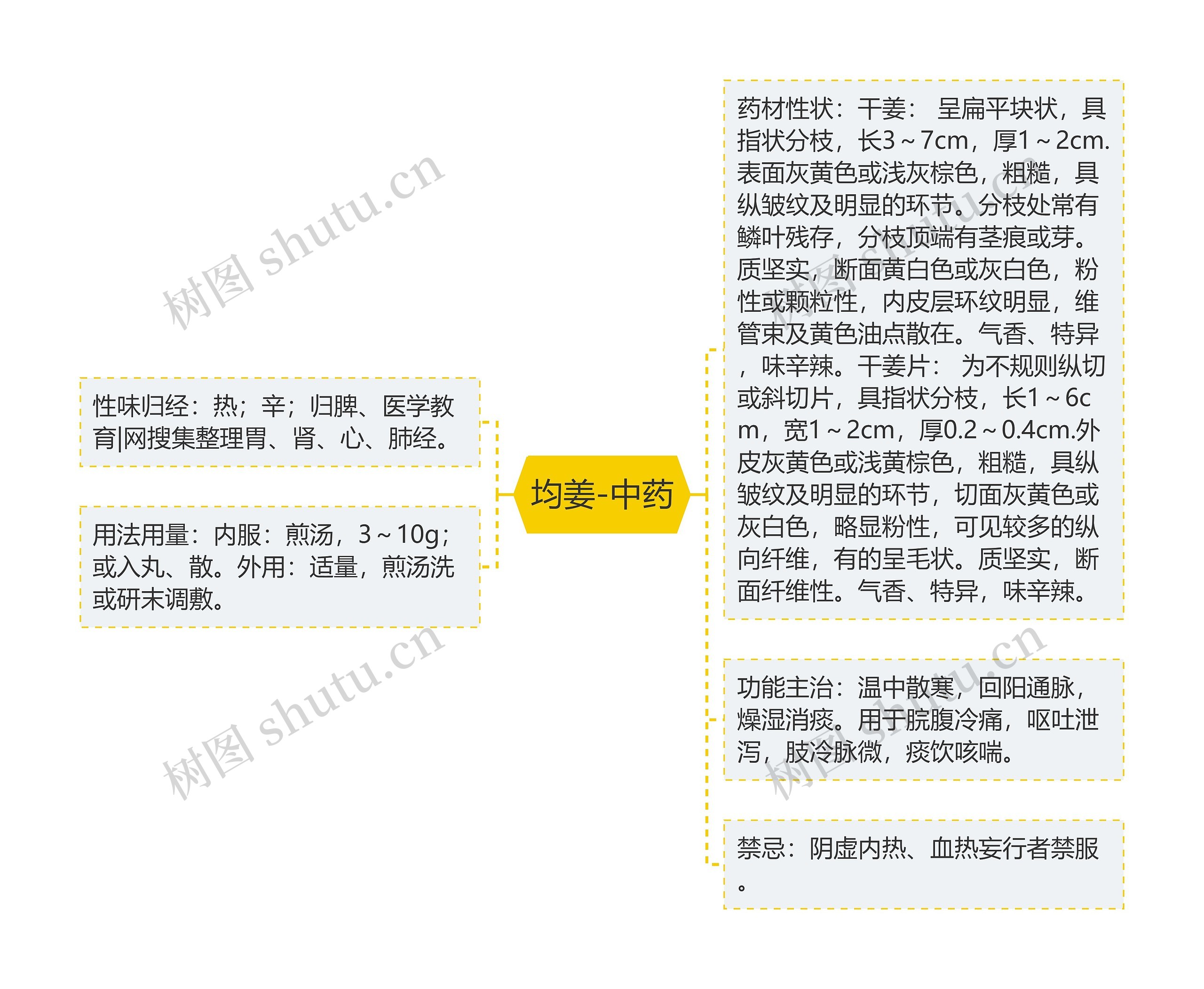 均姜-中药思维导图