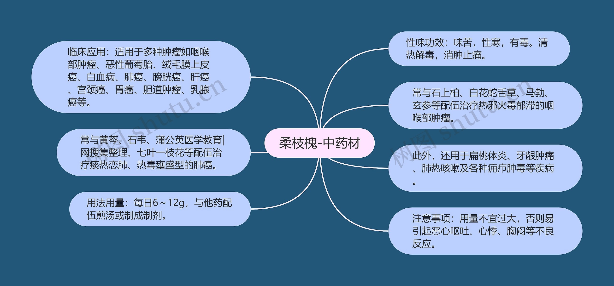 柔枝槐-中药材思维导图