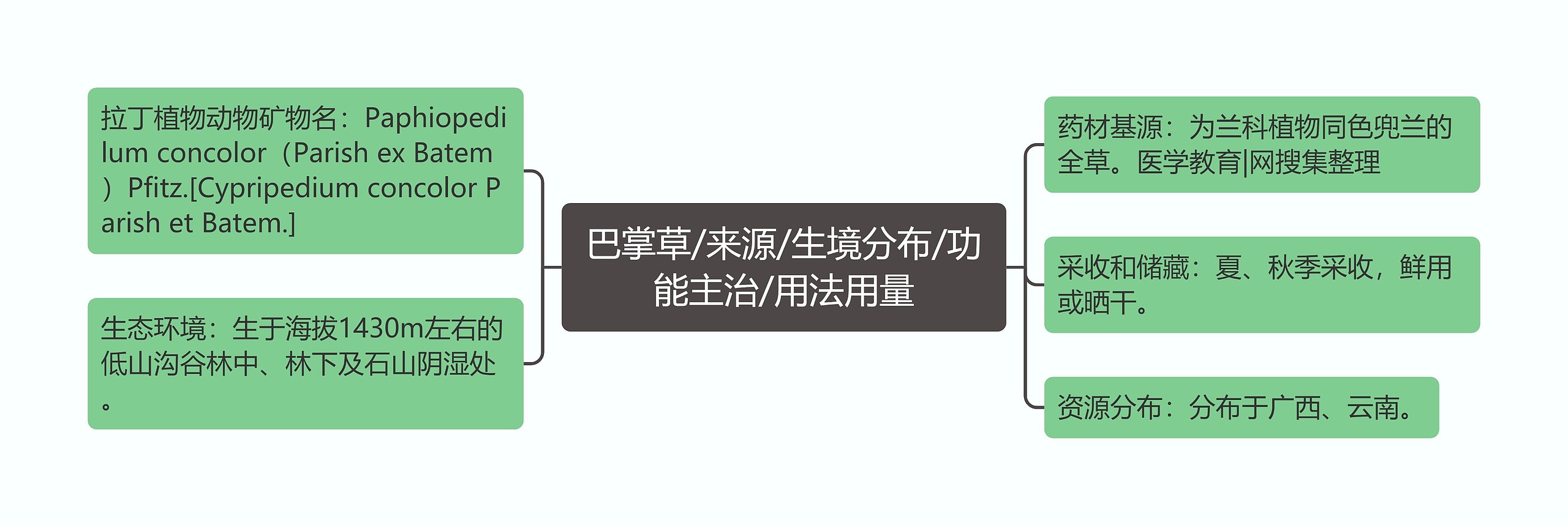 巴掌草/来源/生境分布/功能主治/用法用量