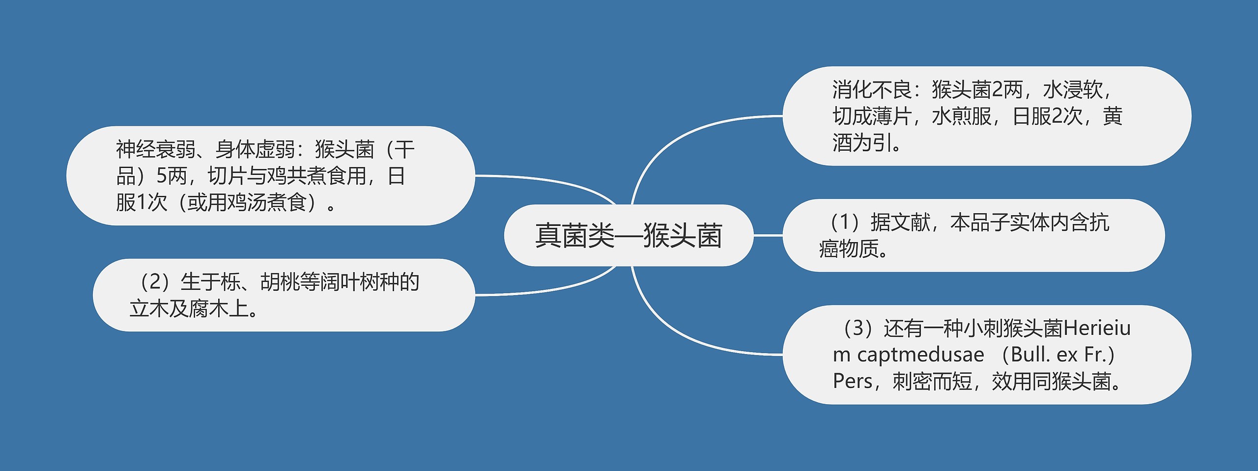 真菌类—猴头菌思维导图