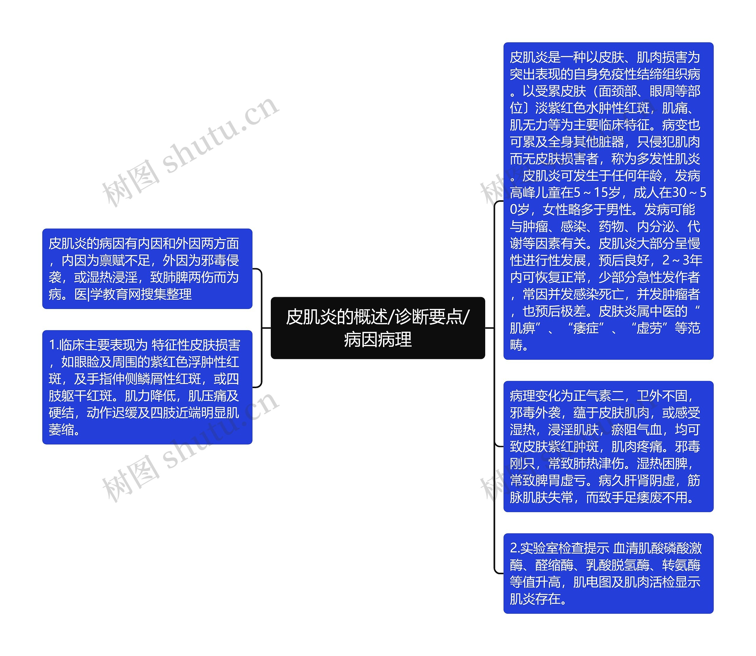 皮肌炎的概述/诊断要点/病因病理