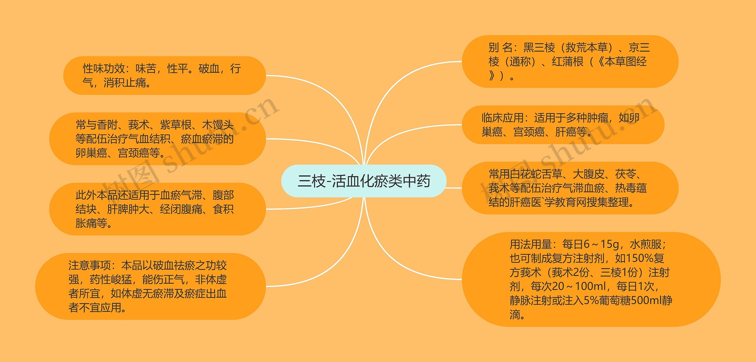 三枝-活血化瘀类中药 三枝-活血化瘀类中药