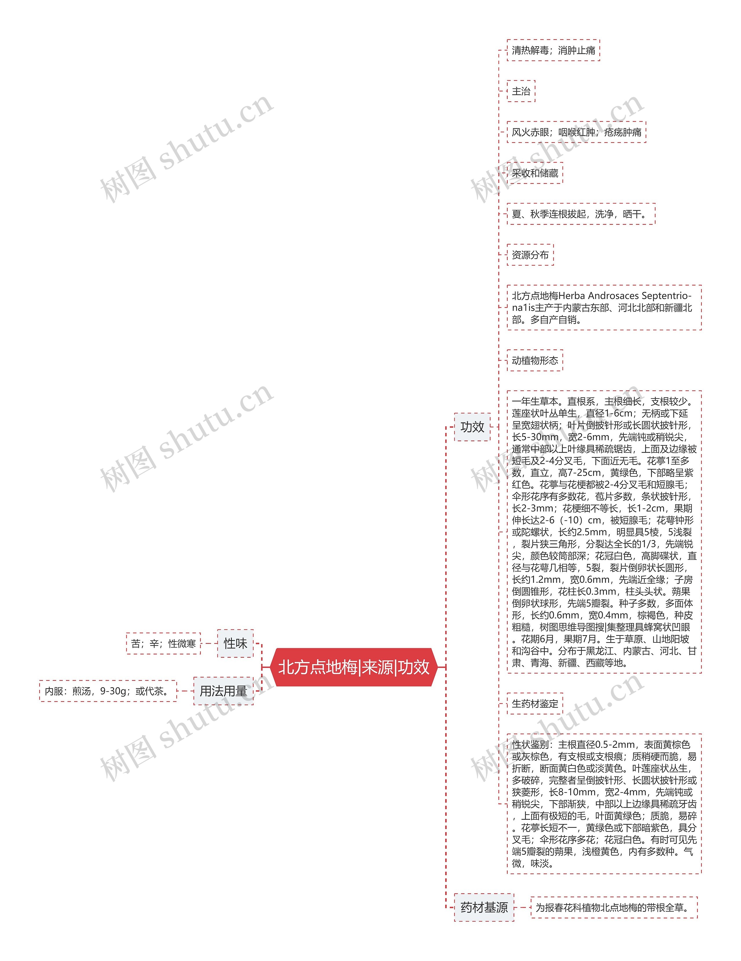 北方点地梅|来源|功效 北方点地梅|来源|功效