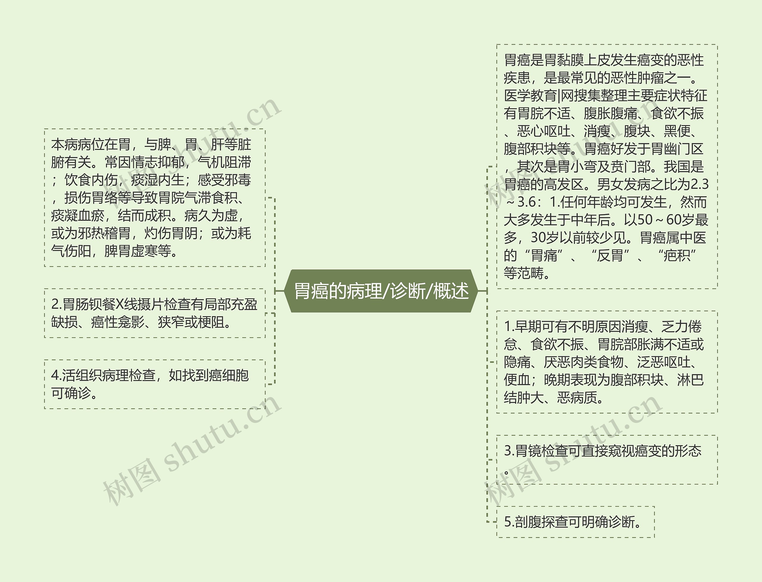 胃癌的病理/诊断/概述 胃癌的病理/诊断/概述