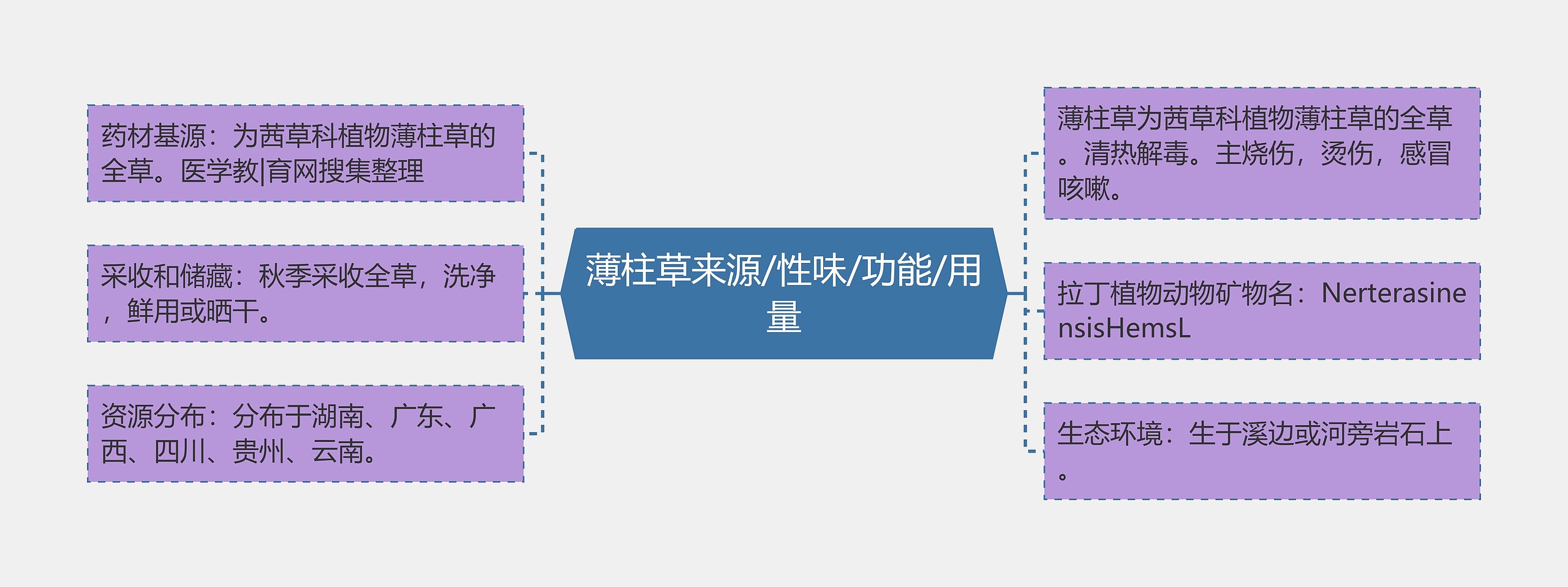 薄柱草来源/性味/功能/用量思维导图