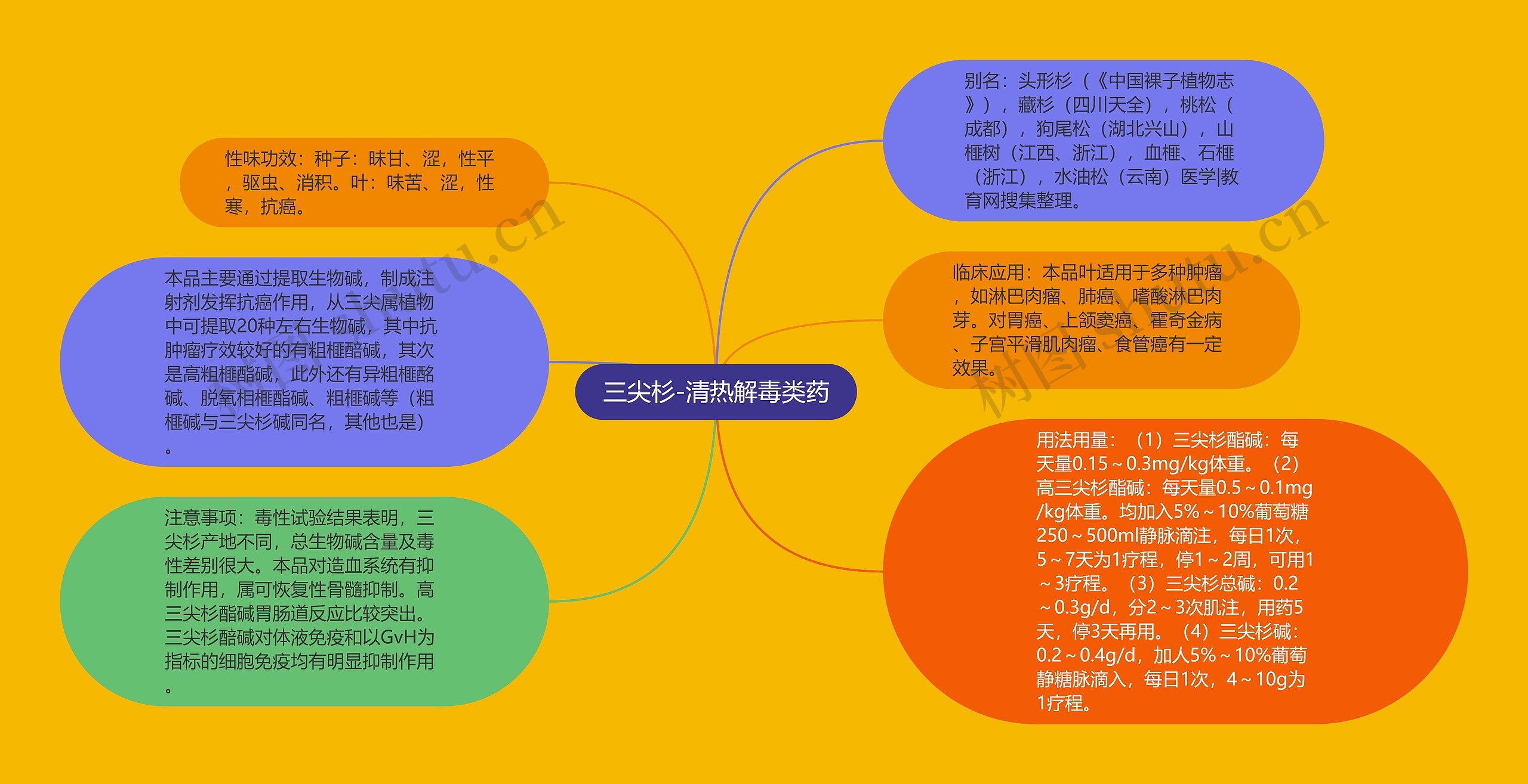 三尖杉-清热解毒类药思维导图