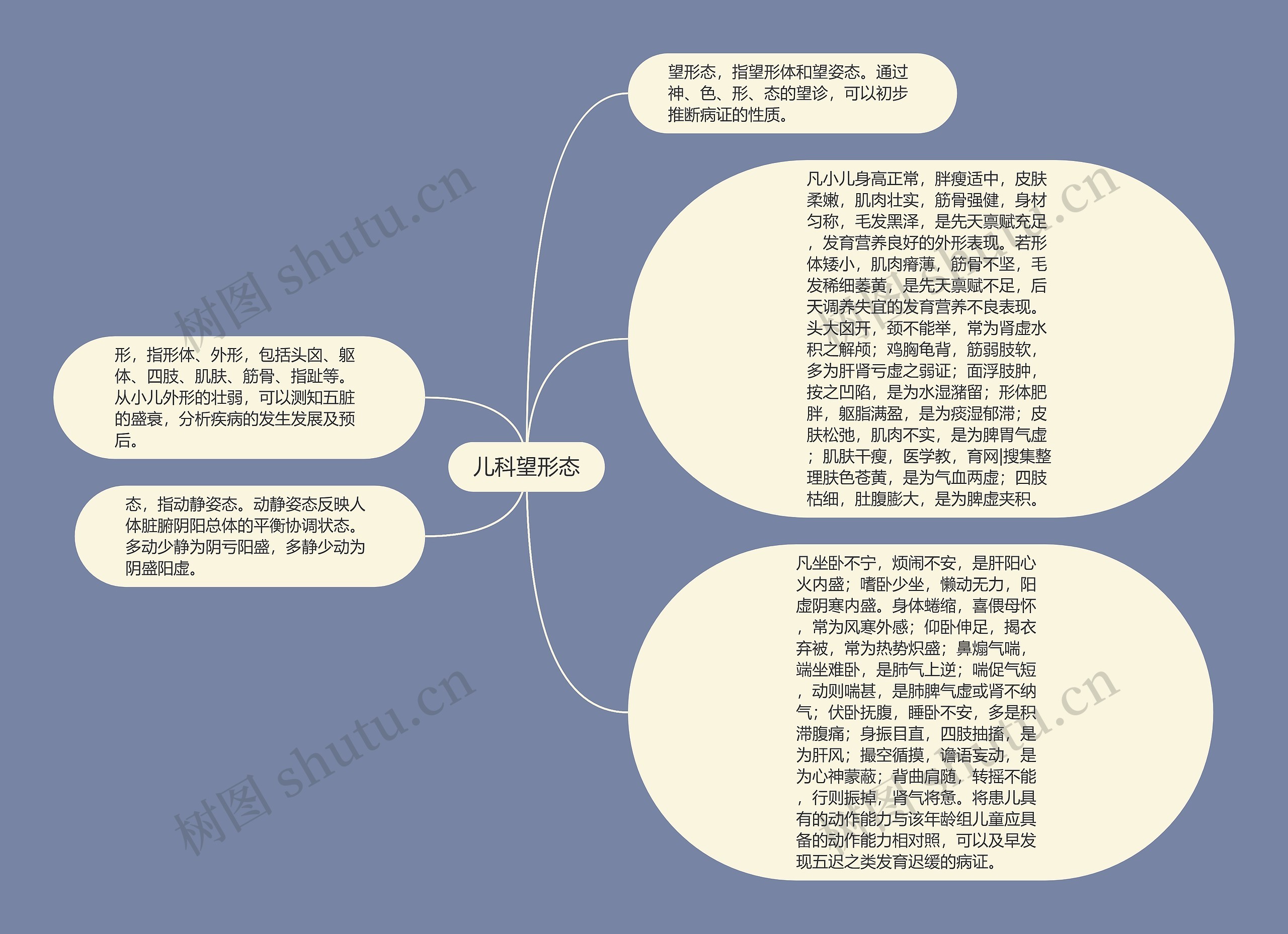 儿科望形态思维导图