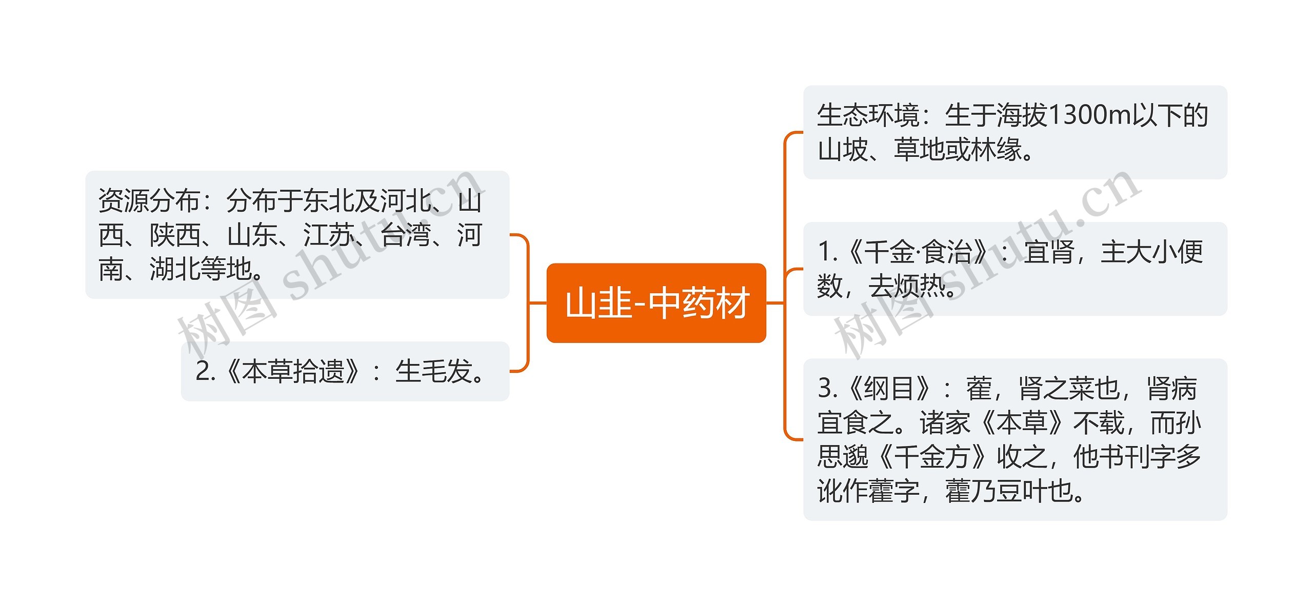 山韭-中药材思维导图