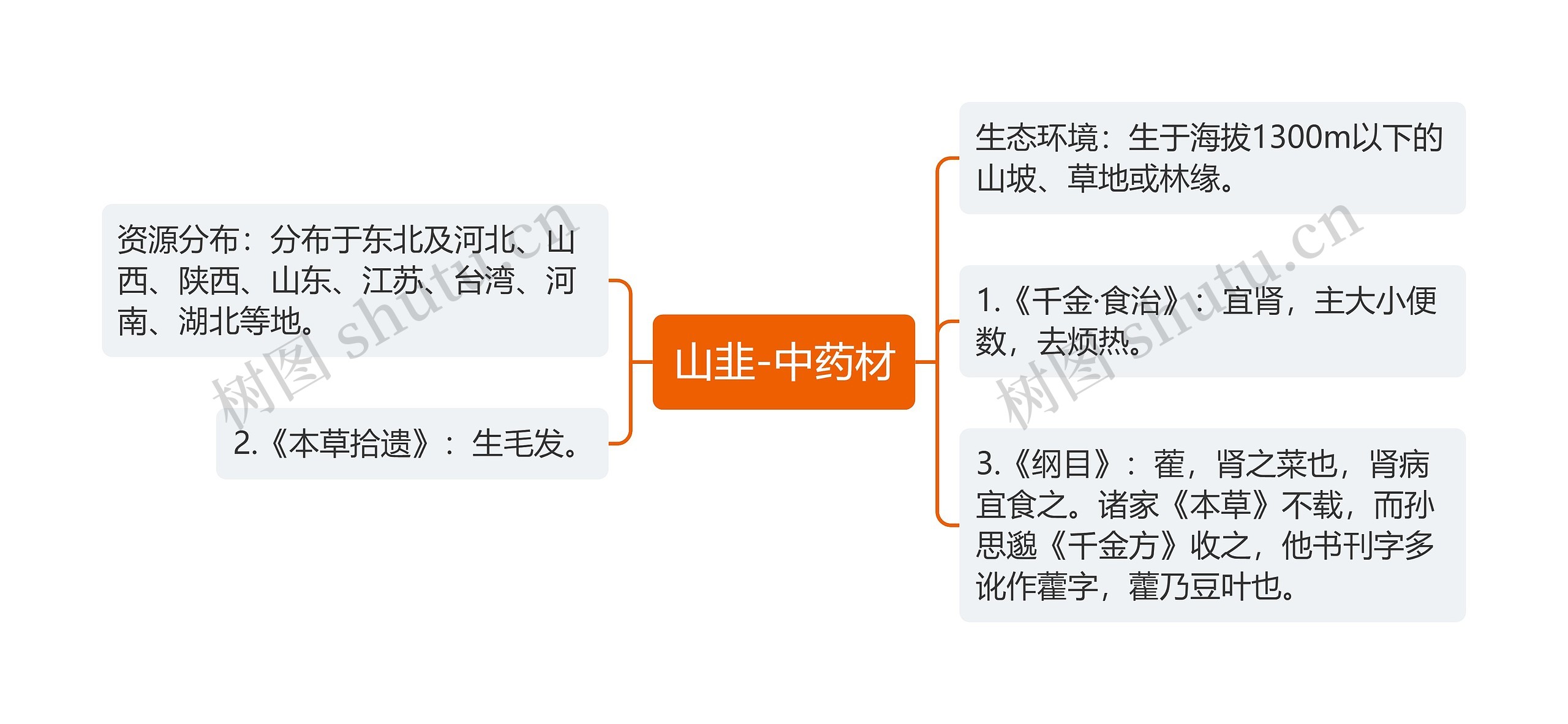 山韭-中药材 山韭-中药材
