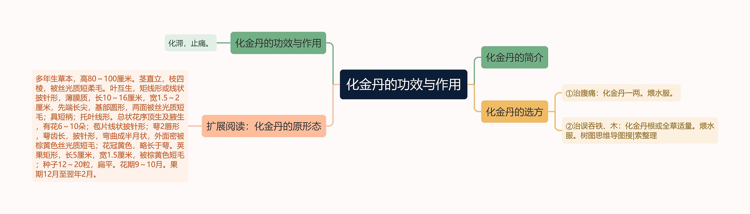 化金丹的功效与作用思维导图