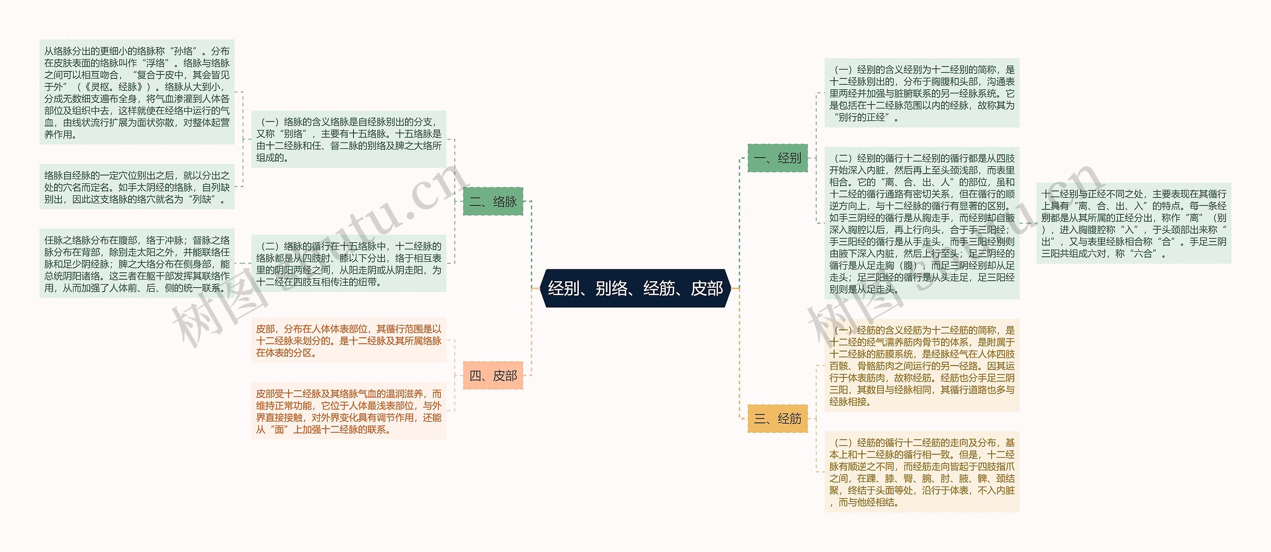 经别、别络、经筋、皮部