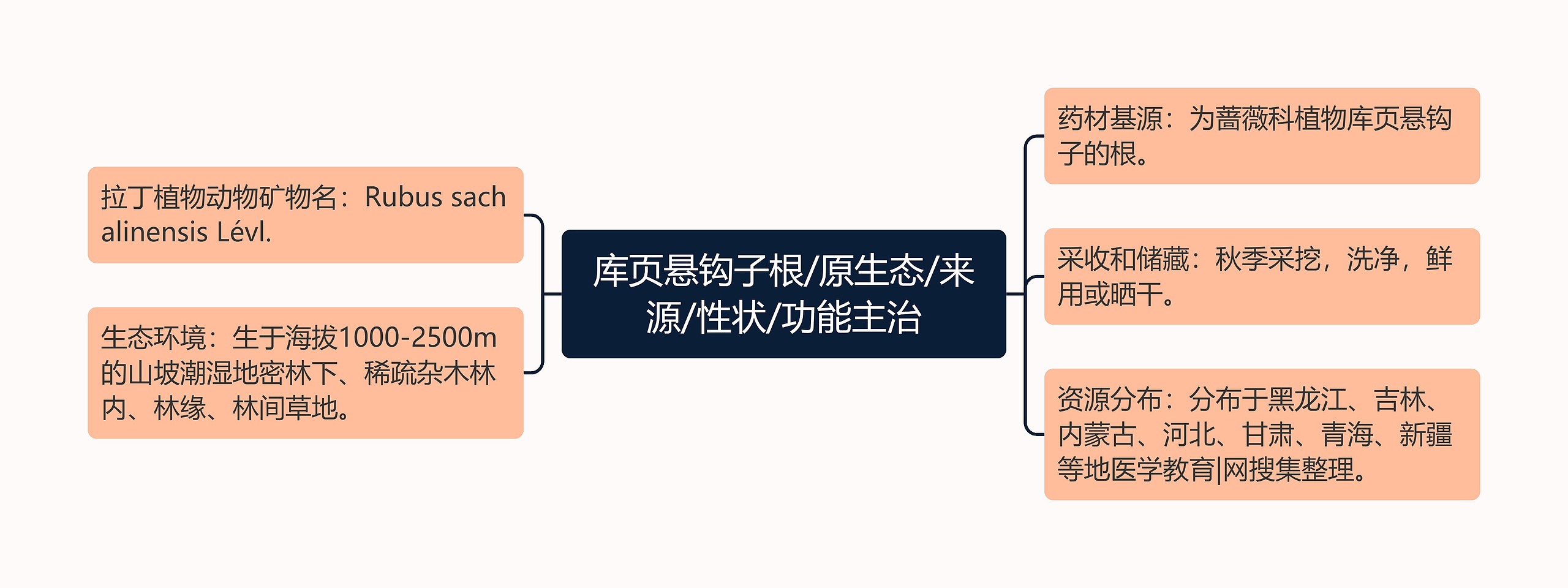 库页悬钩子根/原生态/来源/性状/功能主治思维导图