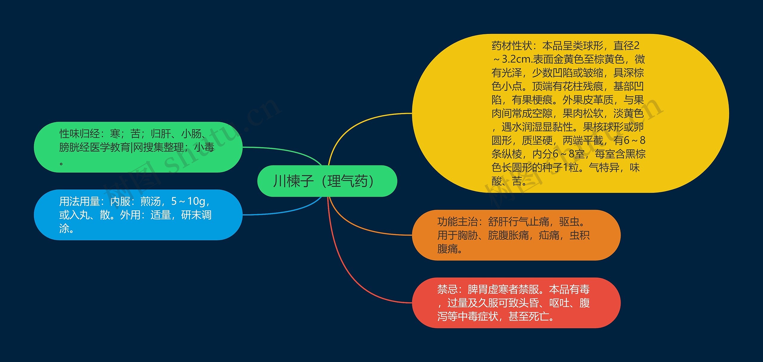 川楝子（理气药）思维导图