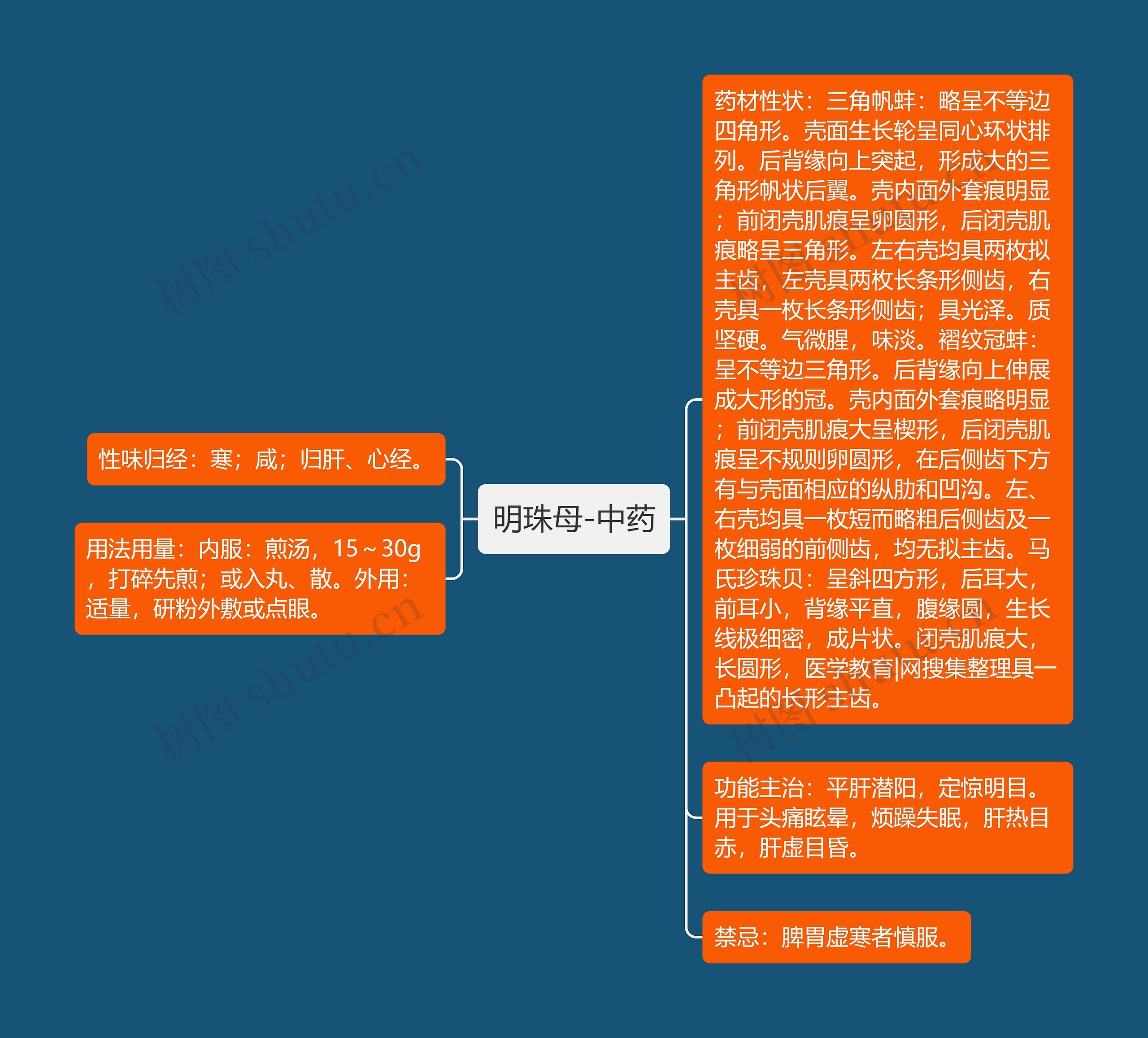 明珠母-中药 明珠母-中药