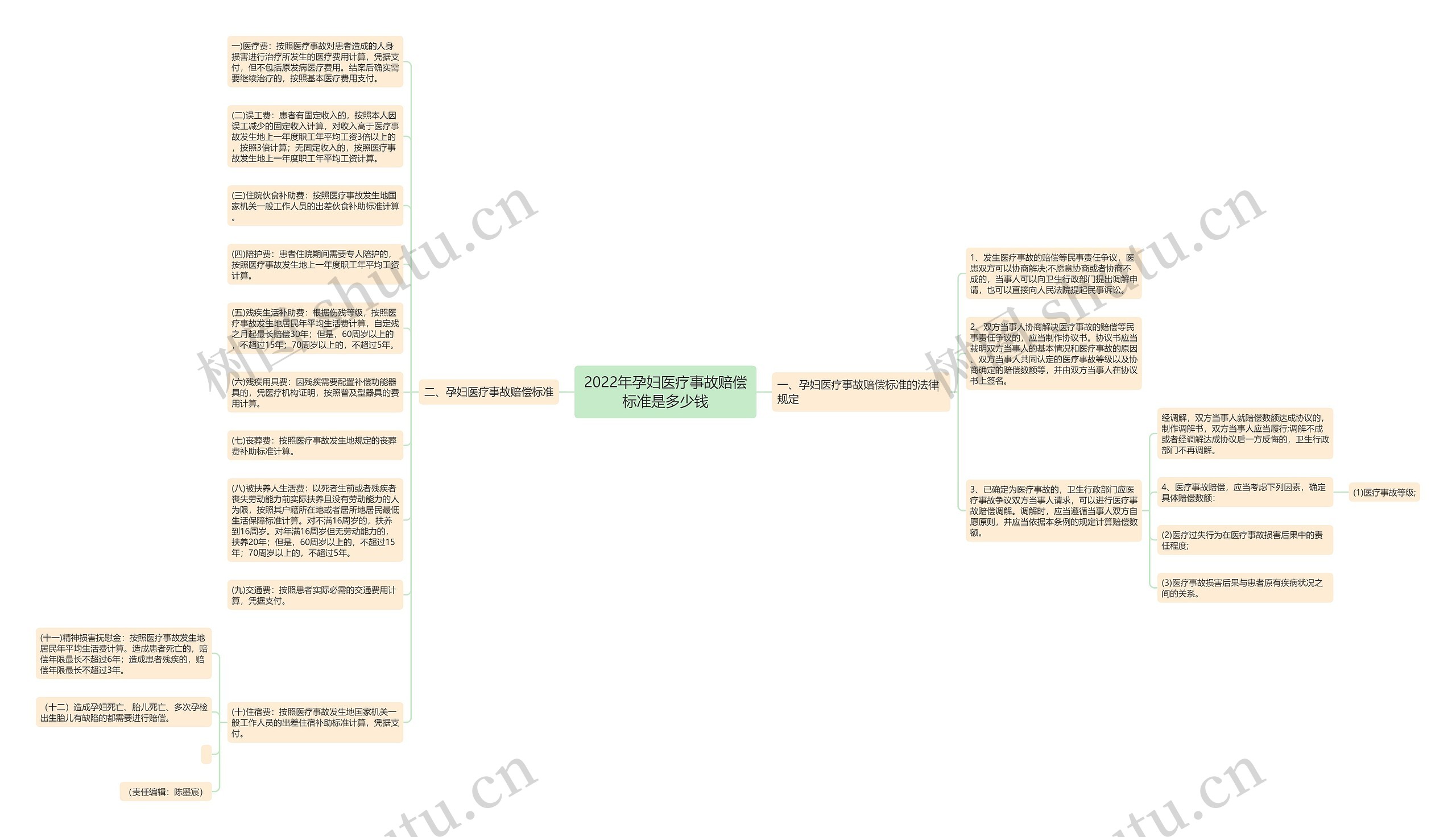 2022年孕妇医疗事故赔偿标准是多少钱思维导图