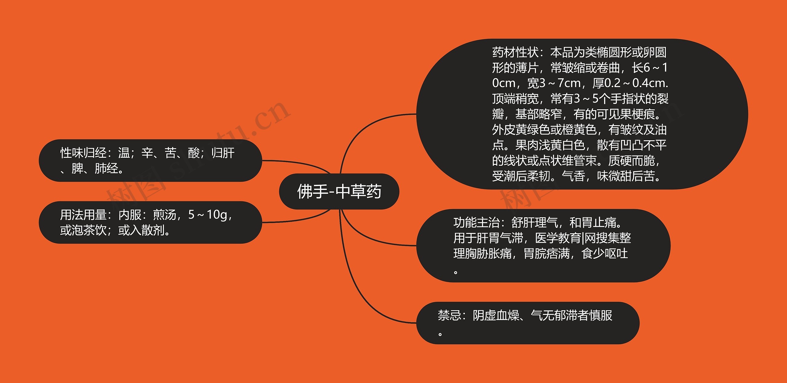 佛手-中草药 佛手-中草药