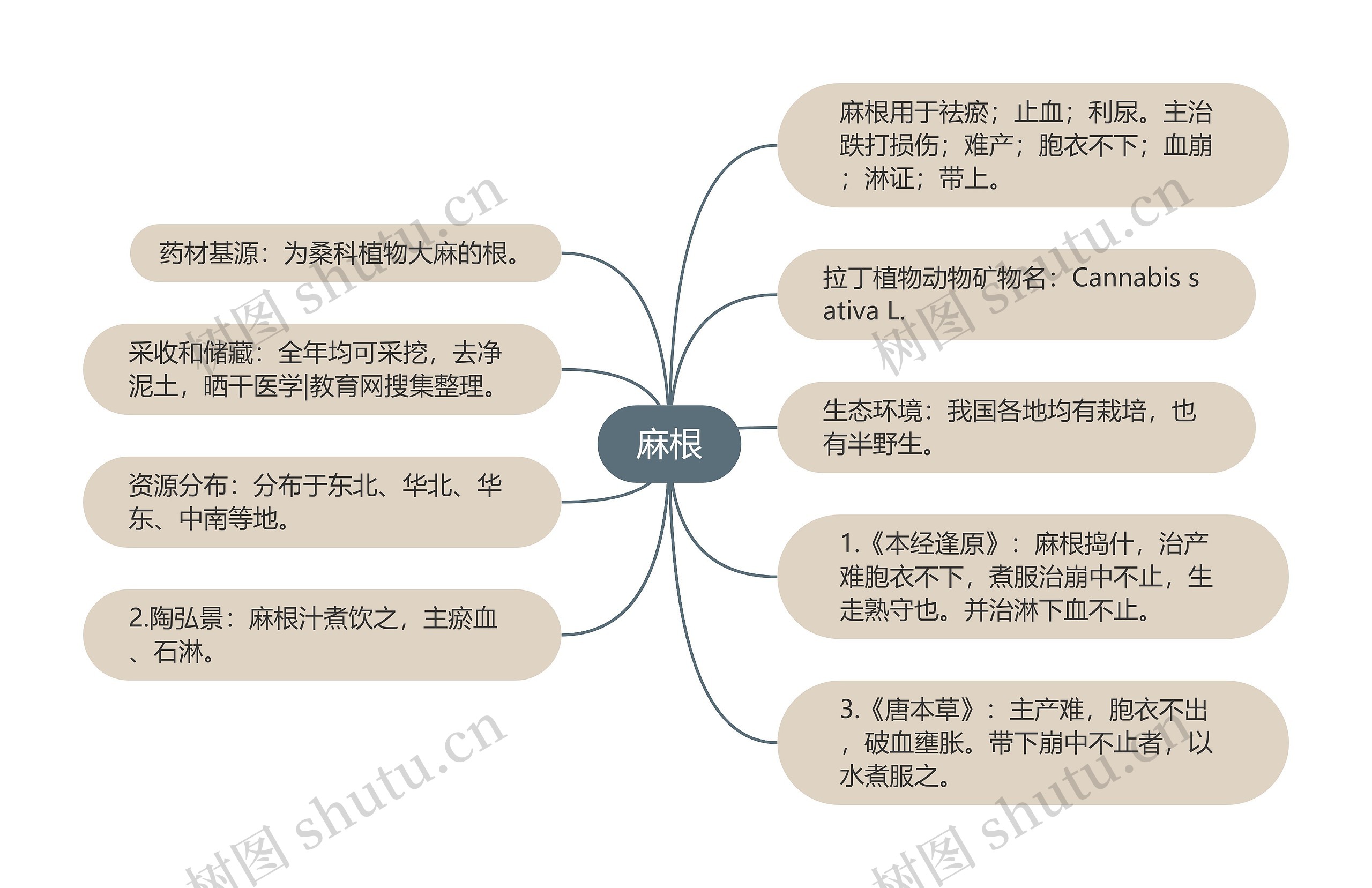 麻根思维导图