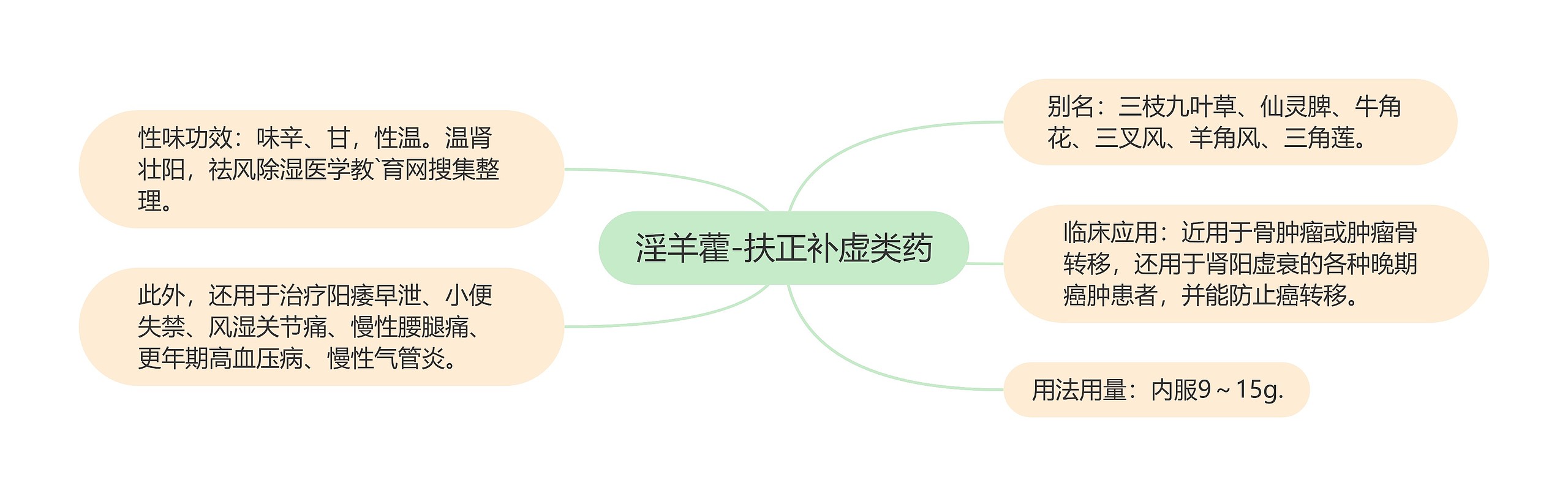 淫羊藿-扶正补虚类药思维导图