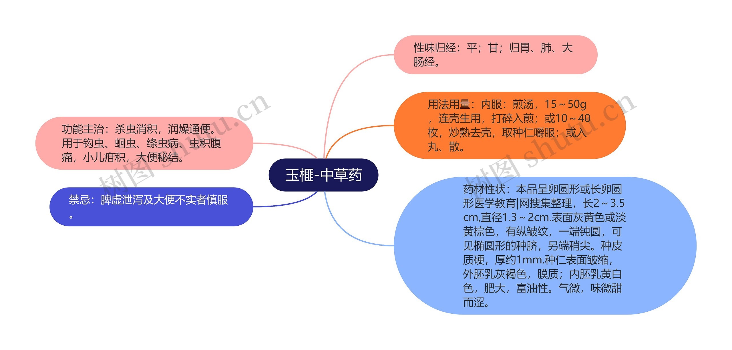 玉榧-中草药思维导图