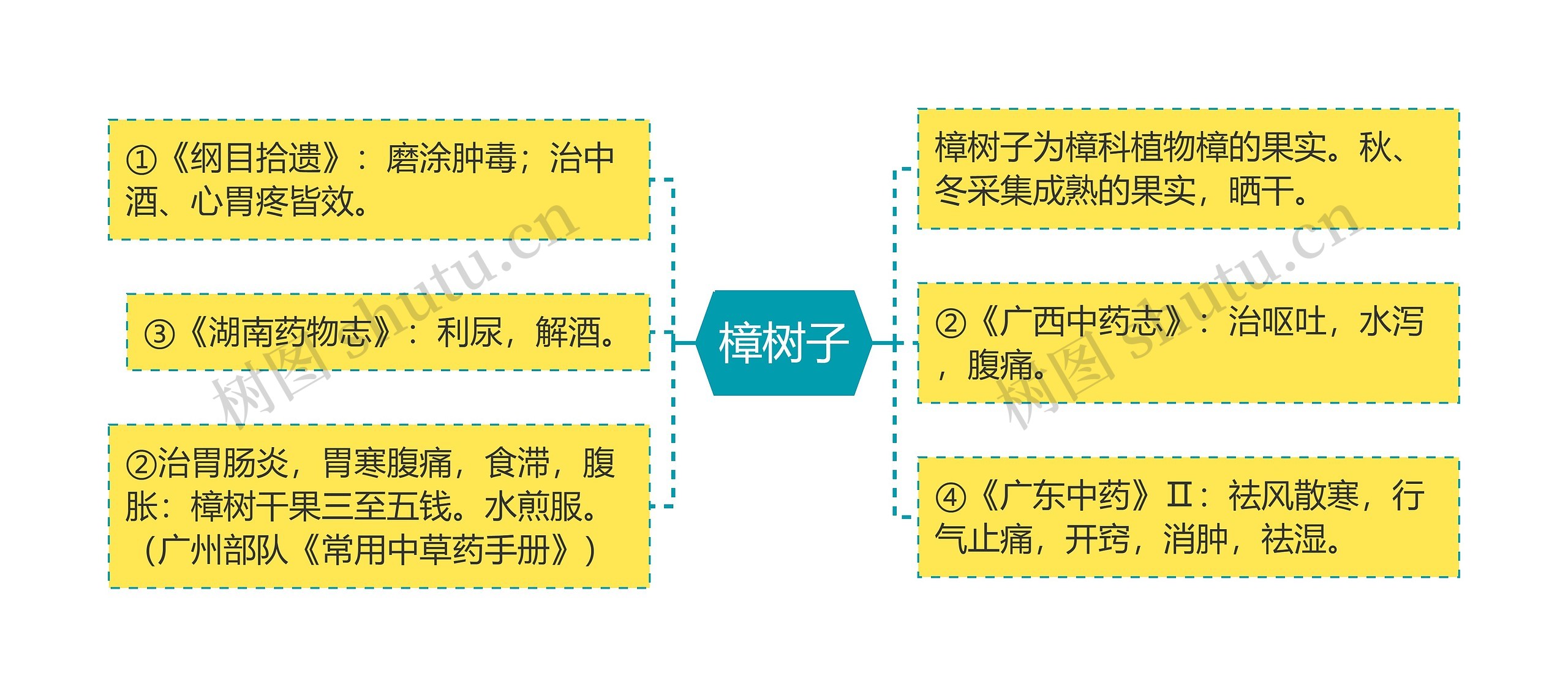 樟树子