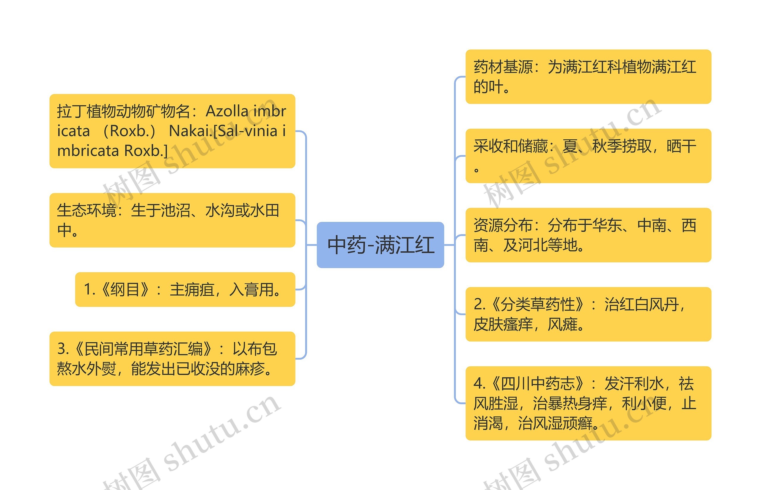 中药-满江红思维导图