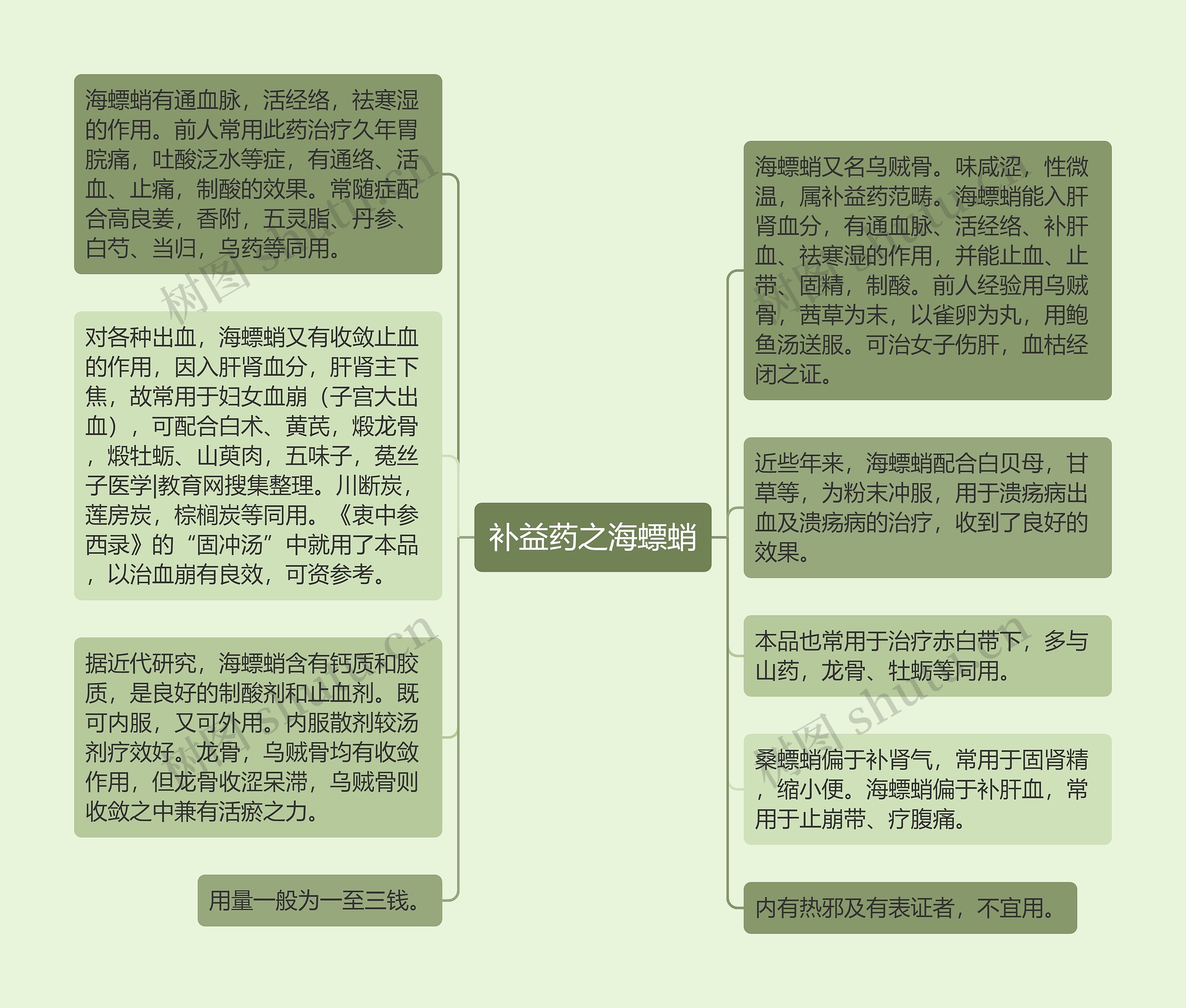 补益药之海螵蛸