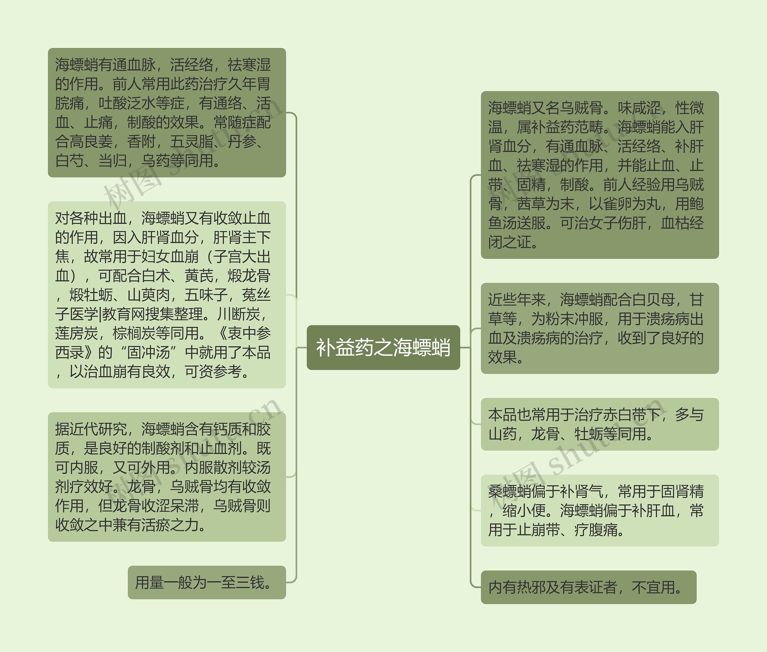 补益药之海螵蛸思维导图