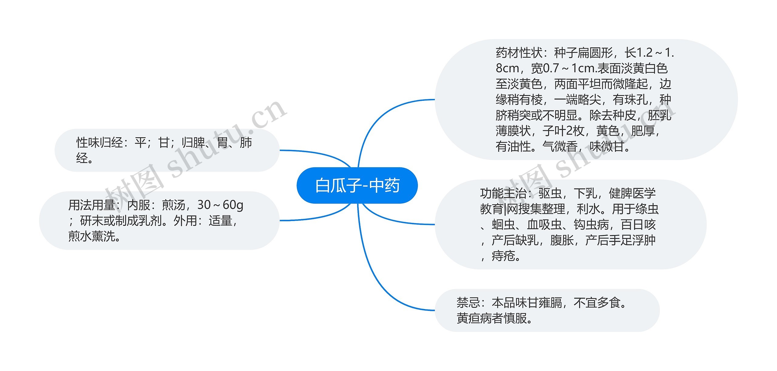 白瓜子-中药 白瓜子-中药
