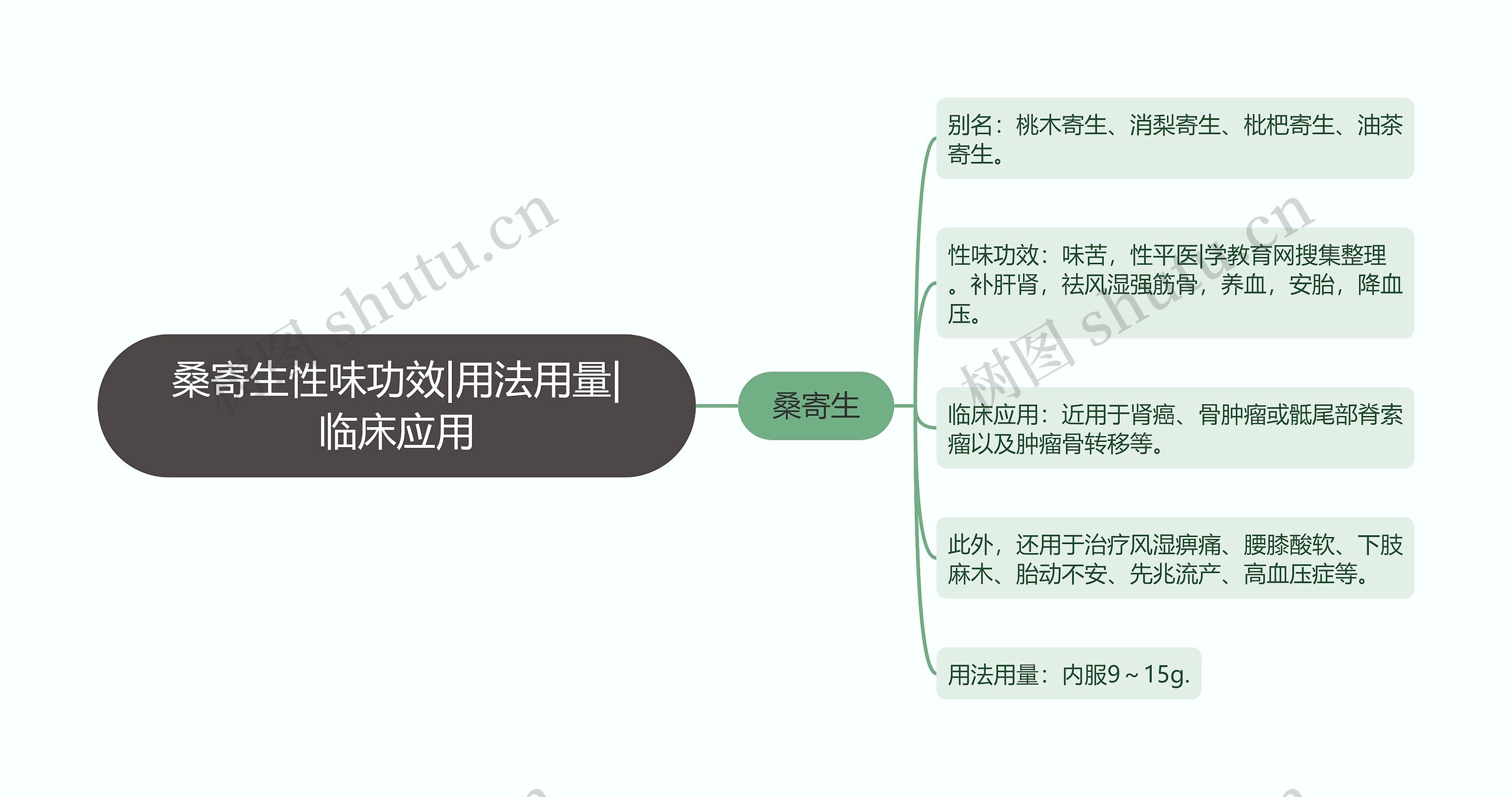 桑寄生性味功效|用法用量|临床应用思维导图