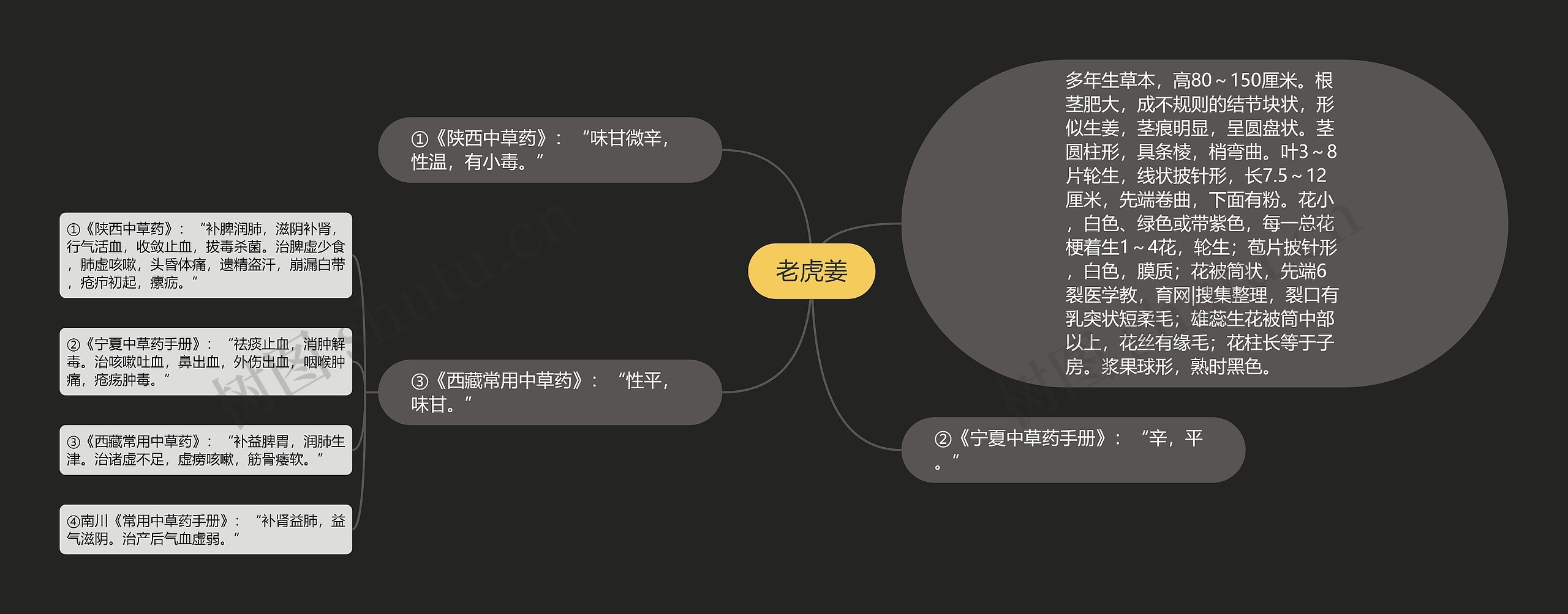 老虎姜思维导图