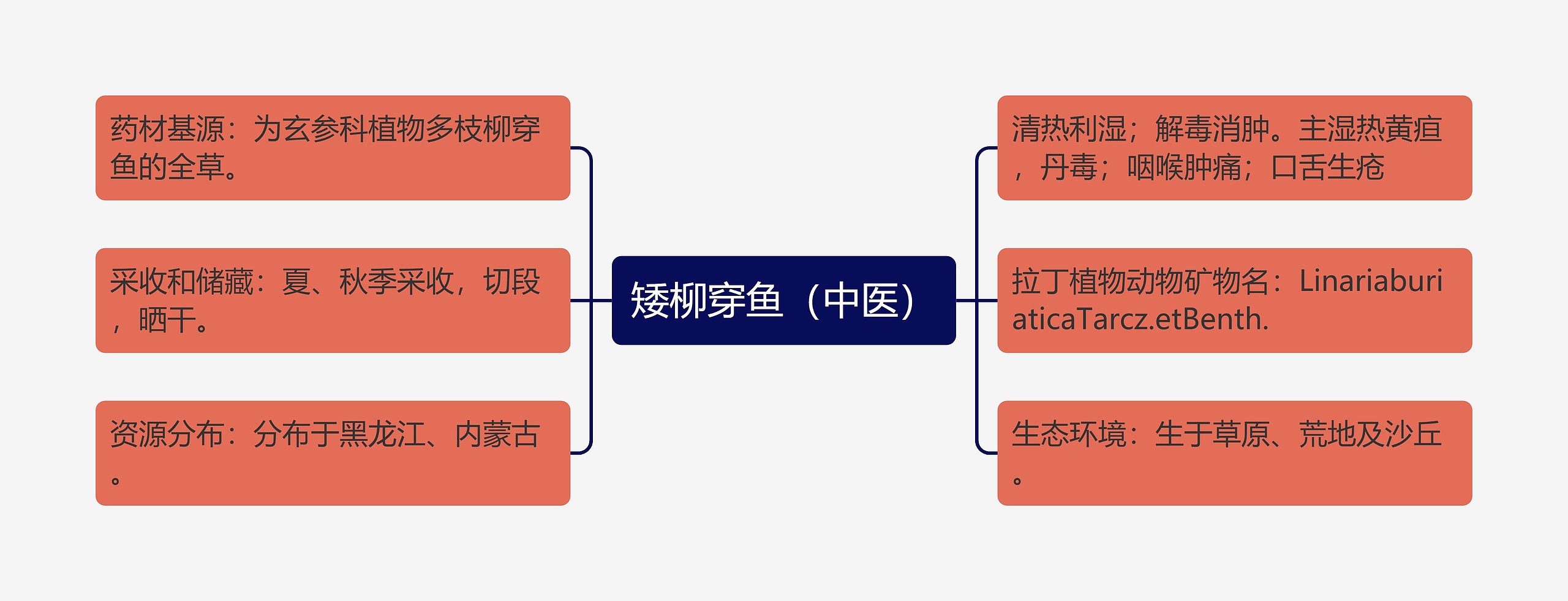 矮柳穿鱼（中医）