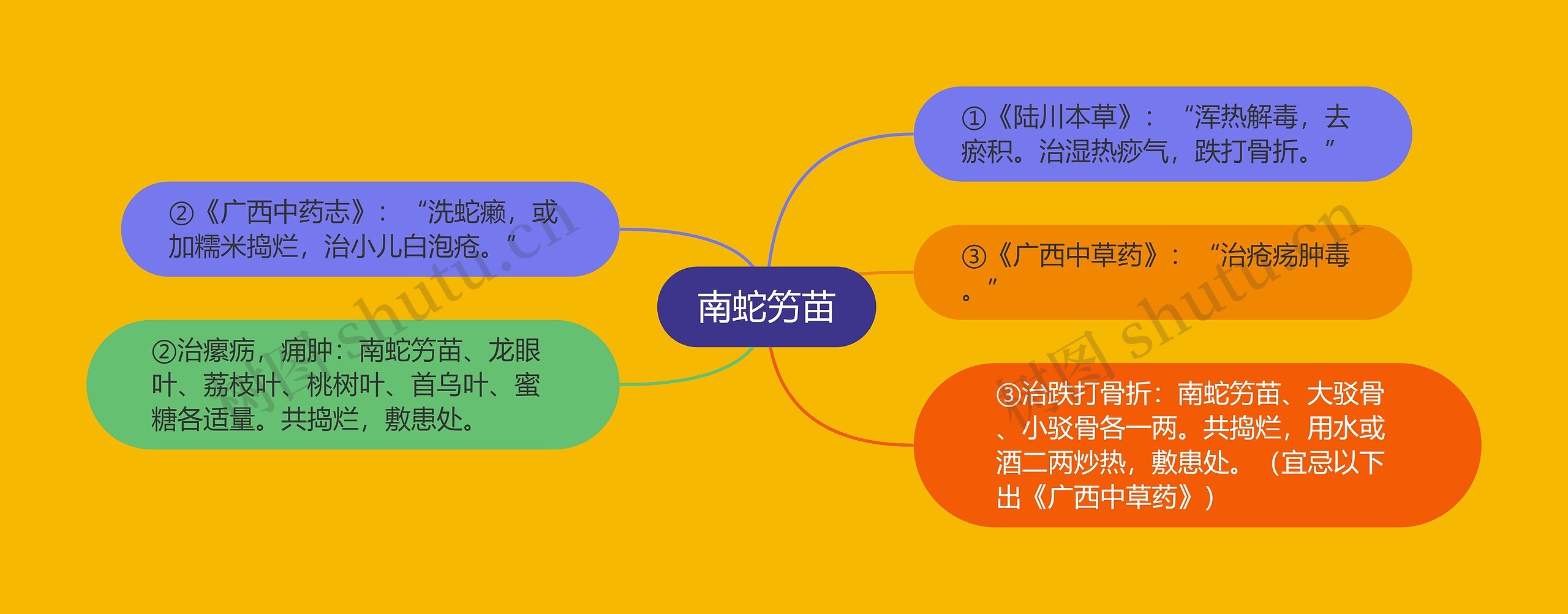 南蛇竻苗 南蛇竻苗