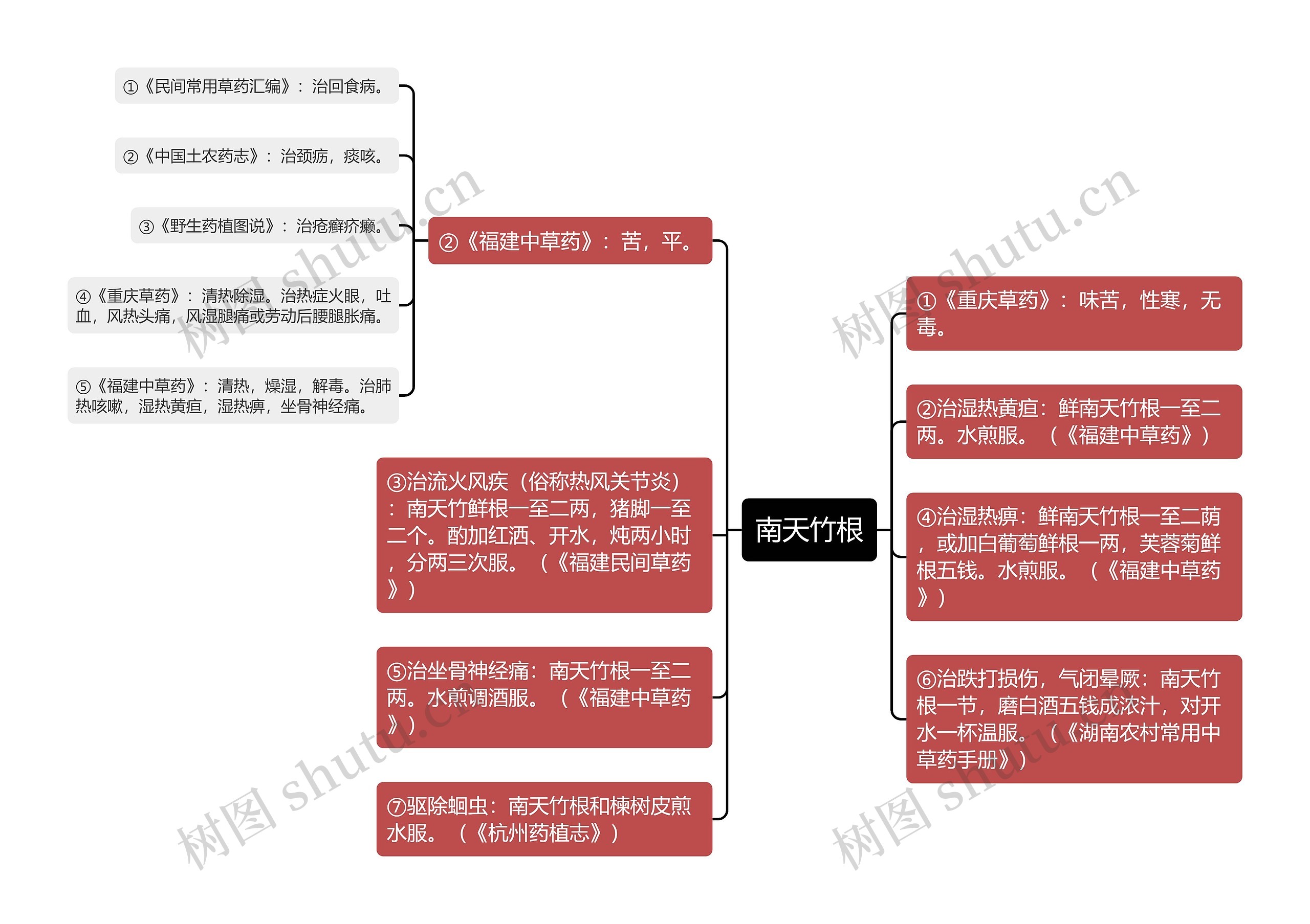 南天竹根思维导图