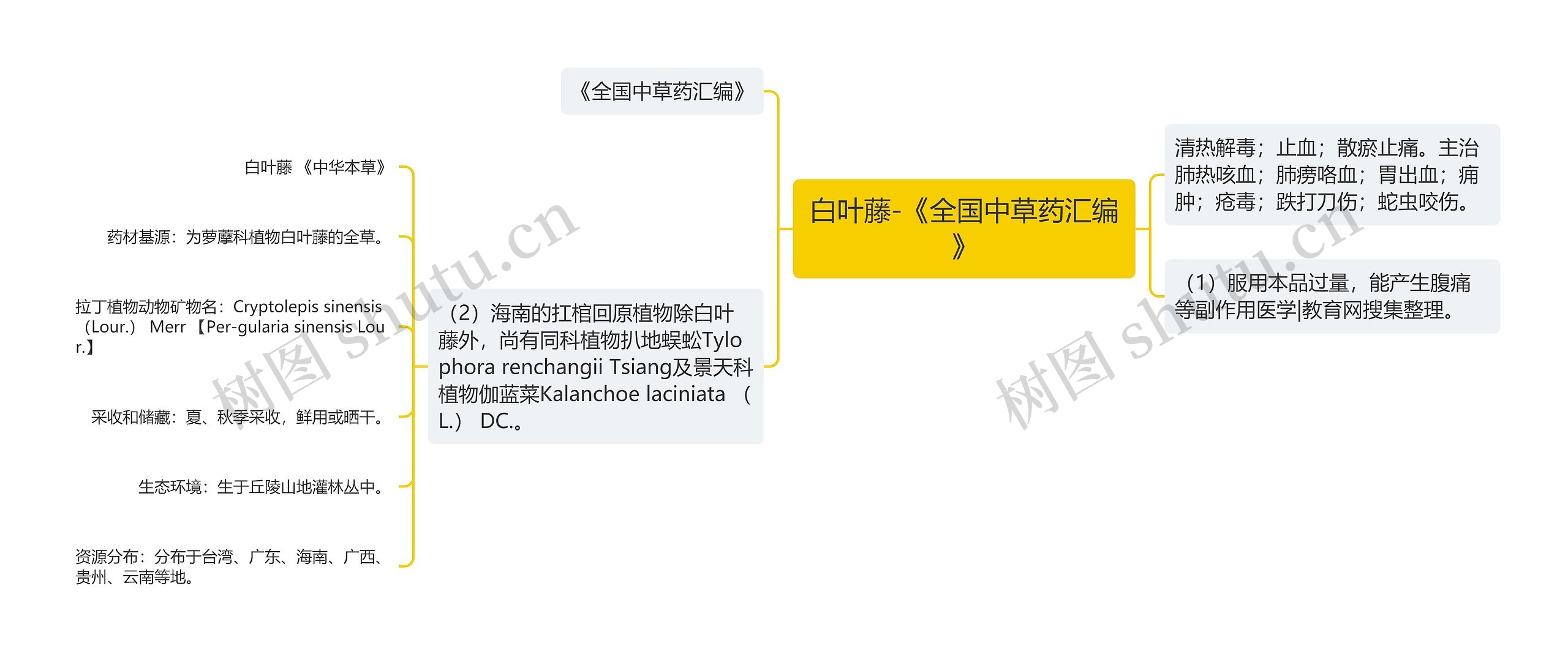 白叶藤-《全国中草药汇编》思维导图