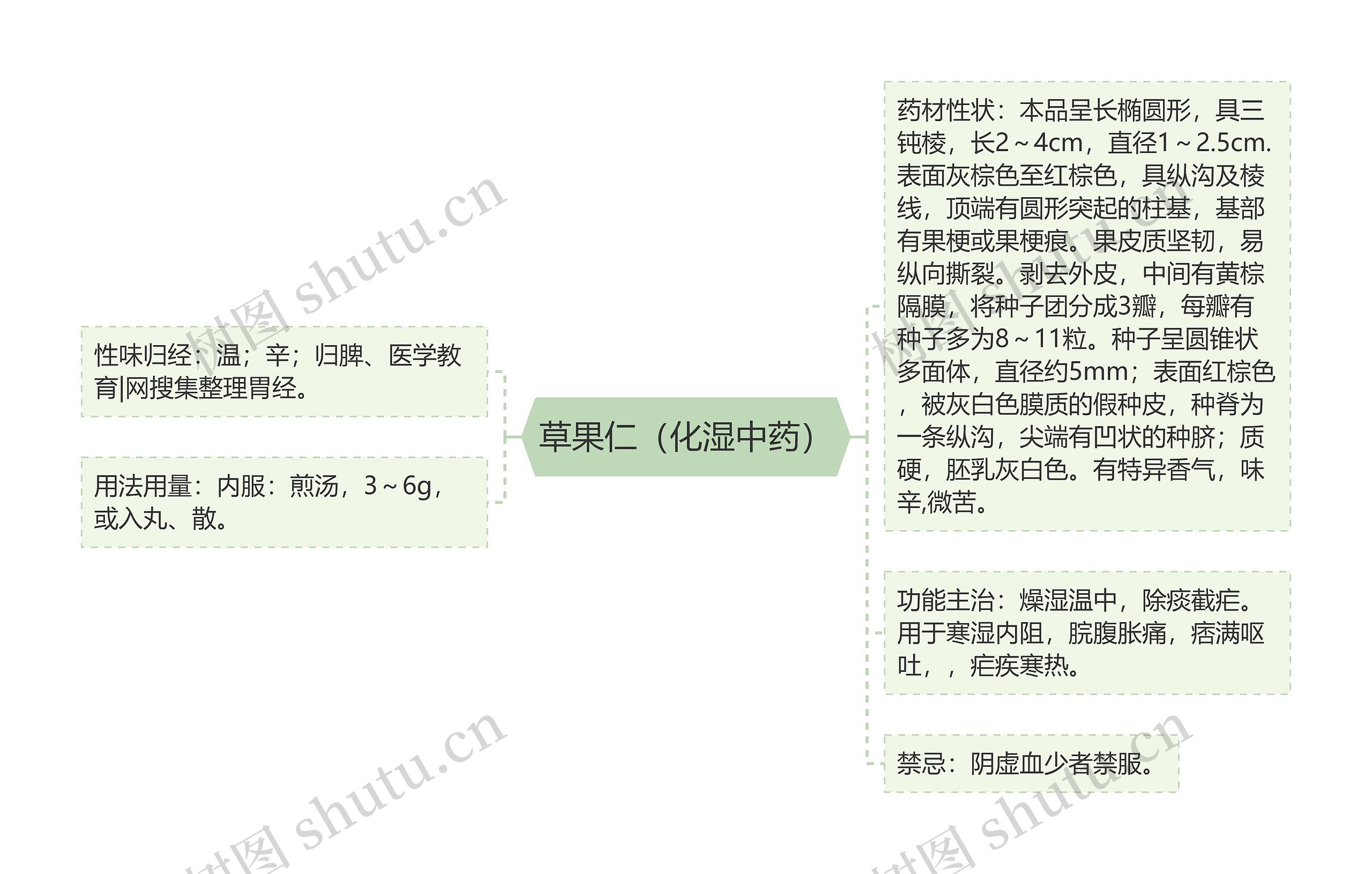 草果仁（化湿中药）