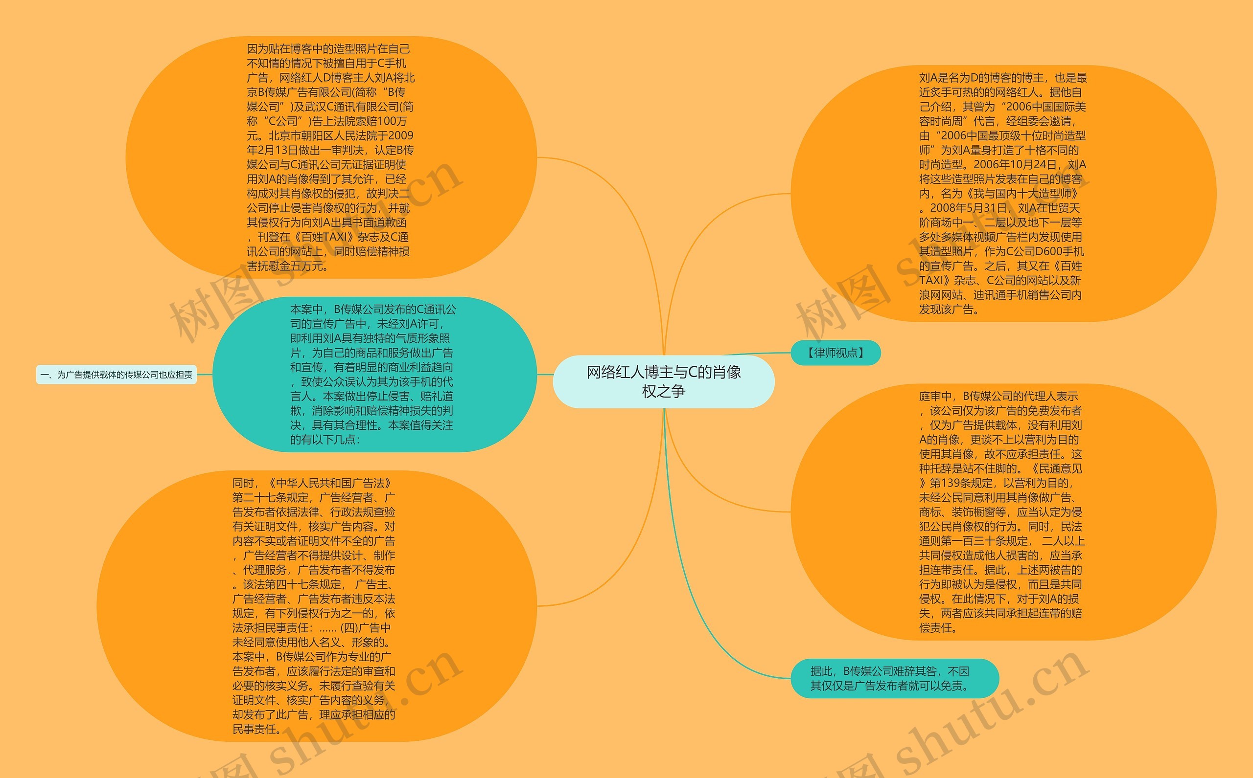 网络红人博主与C的肖像权之争思维导图