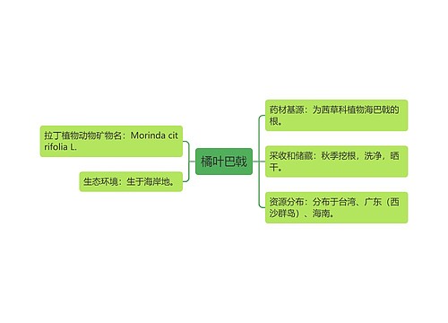 橘叶巴戟