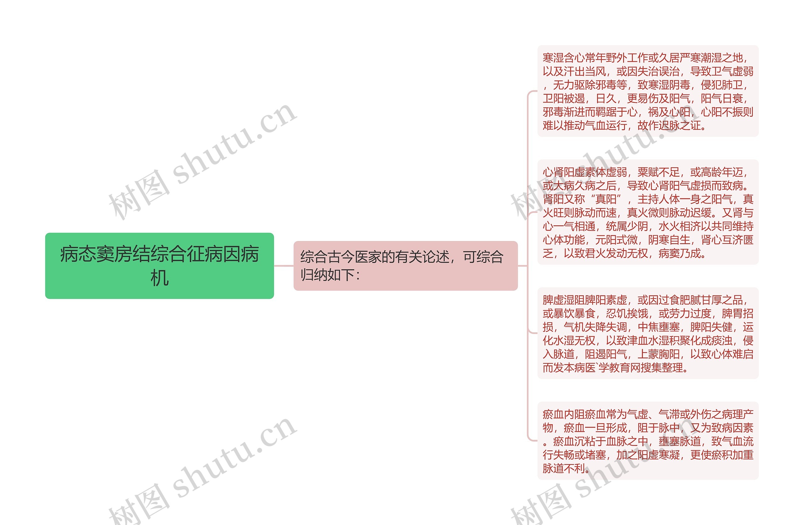 病态窦房结综合征病因病机