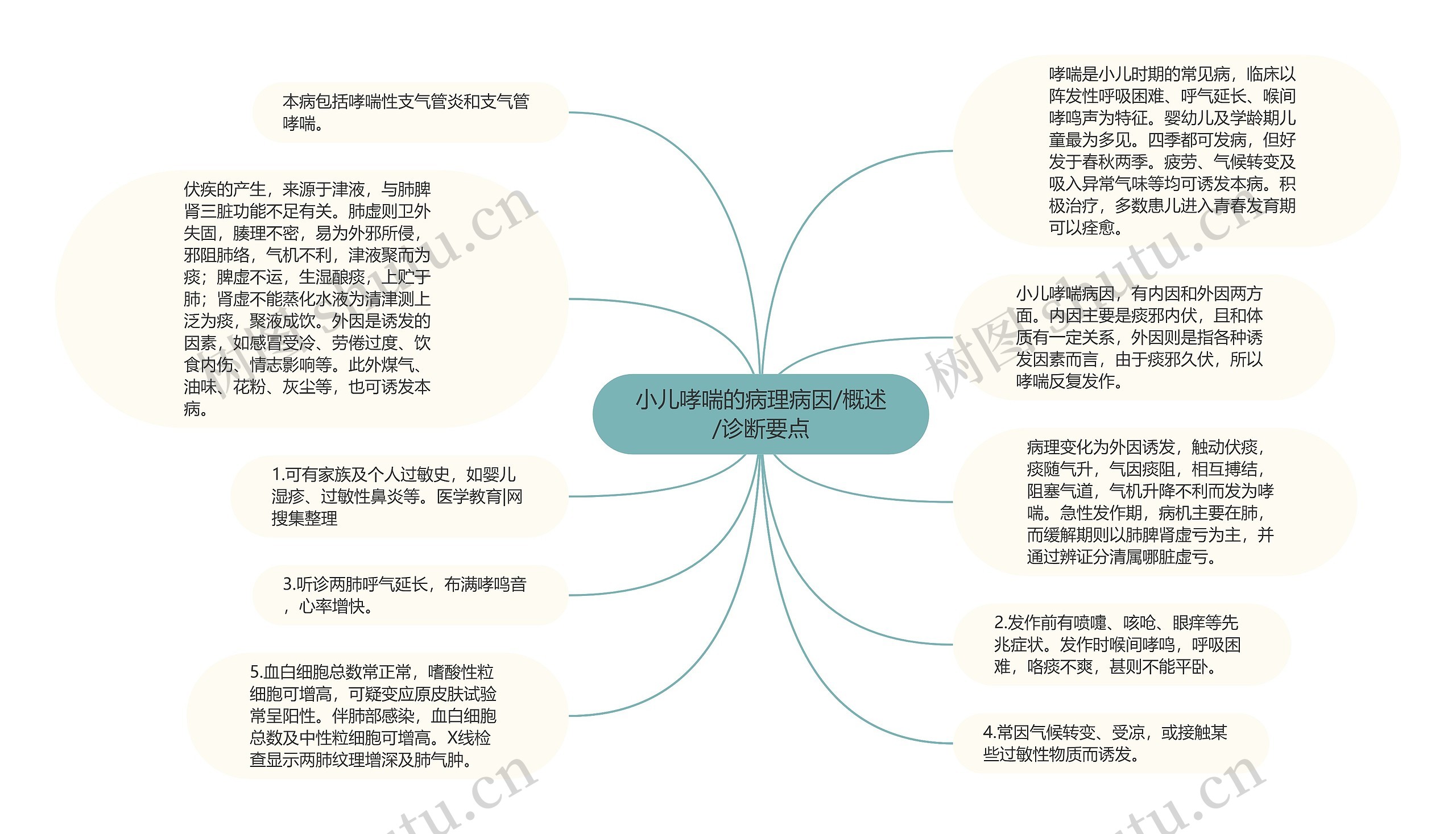 小儿哮喘的病理病因/概述/诊断要点思维导图