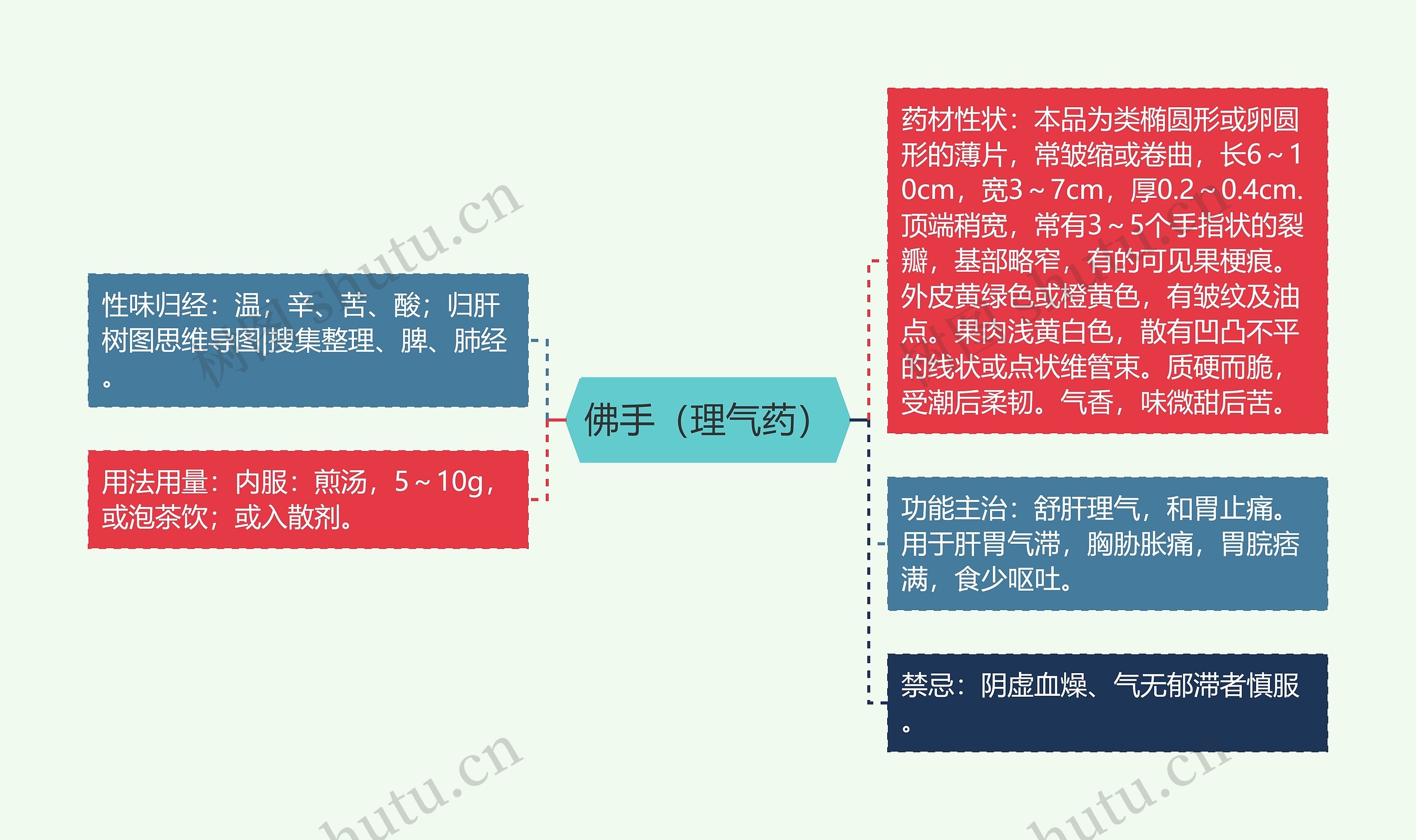 佛手（理气药）思维导图