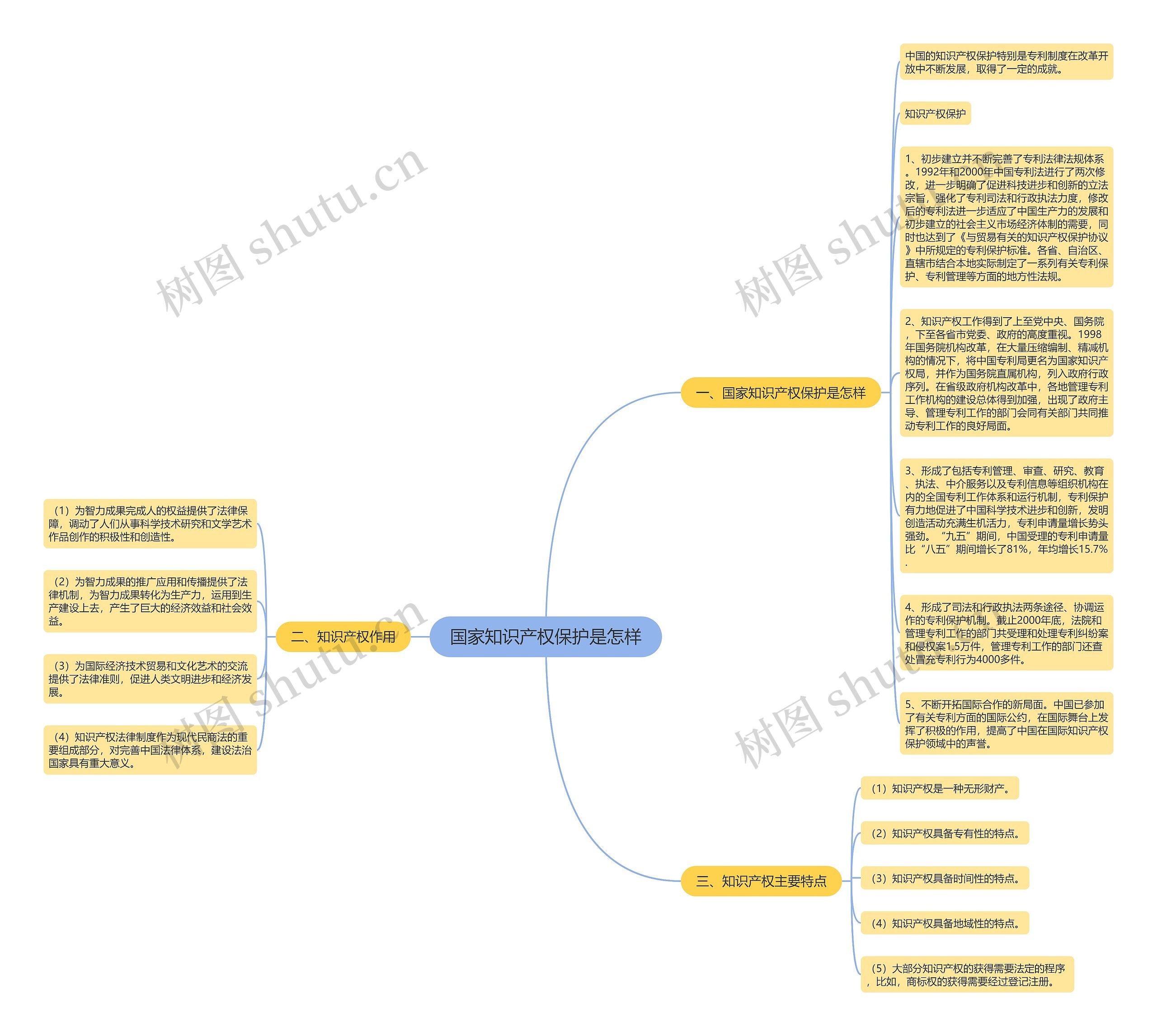 国家知识产权保护是怎样思维导图