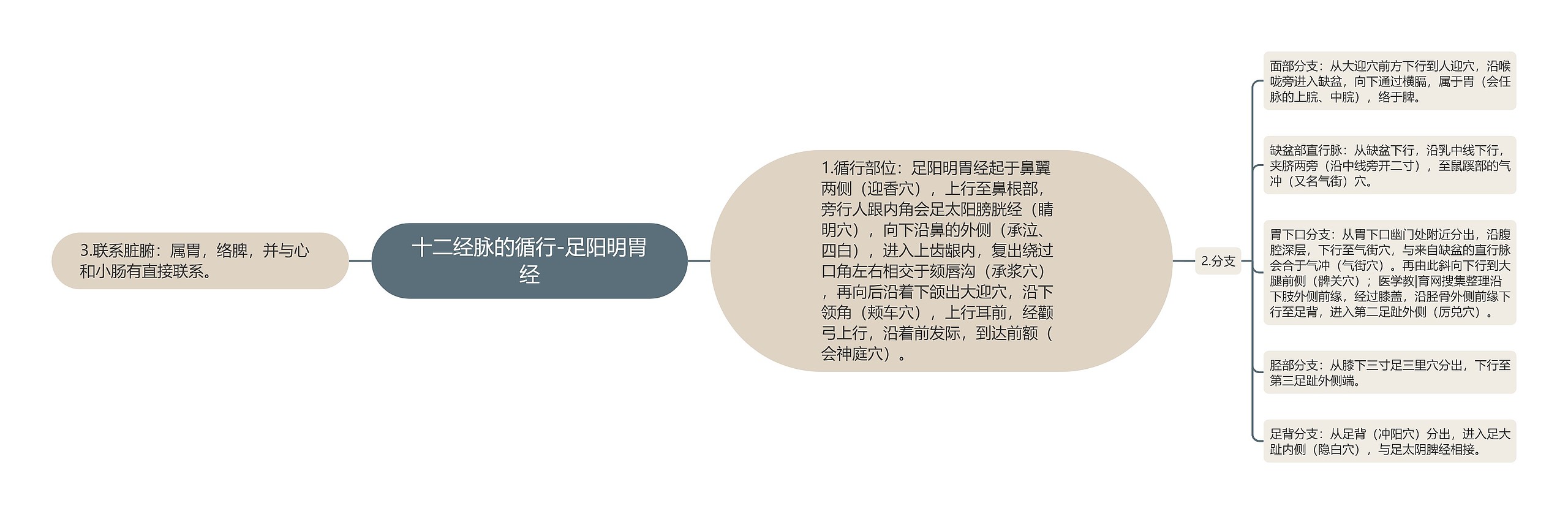 十二经脉的循行-足阳明胃经思维导图