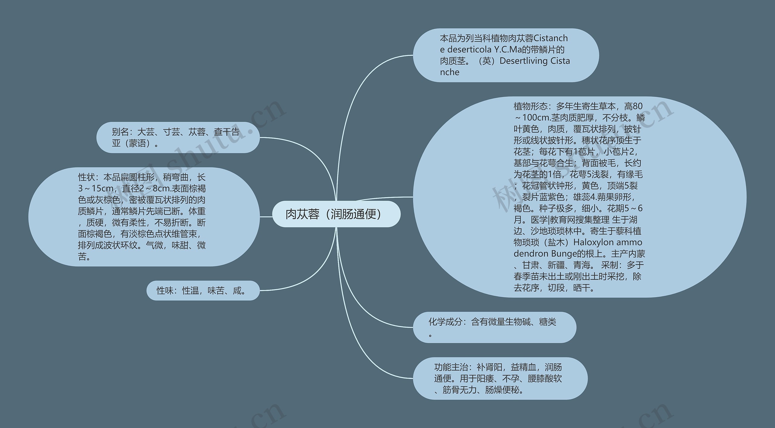 肉苁蓉（润肠通便）思维导图