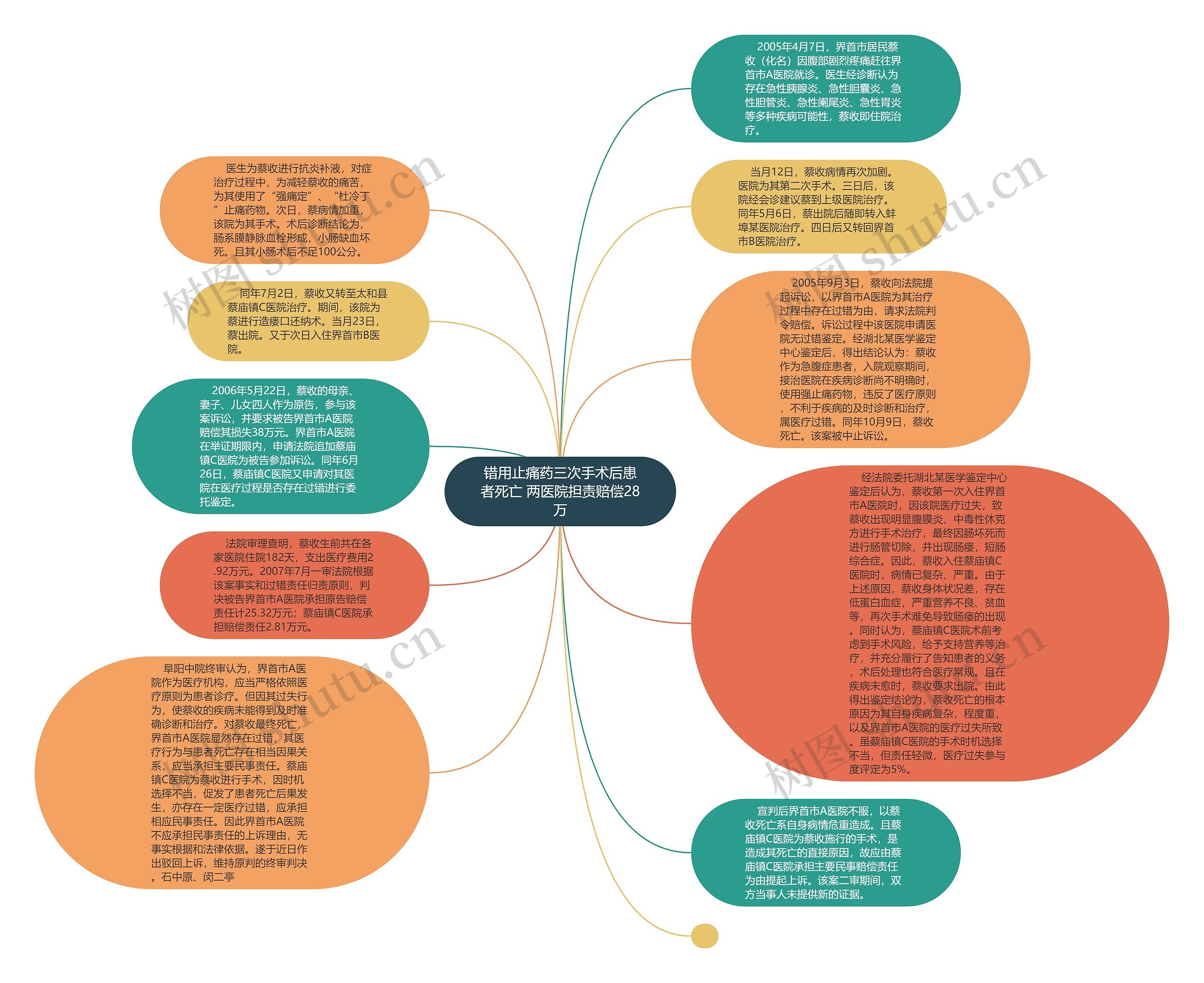 错用止痛药三次手术后患者死亡 两医院担责赔偿28万思维导图