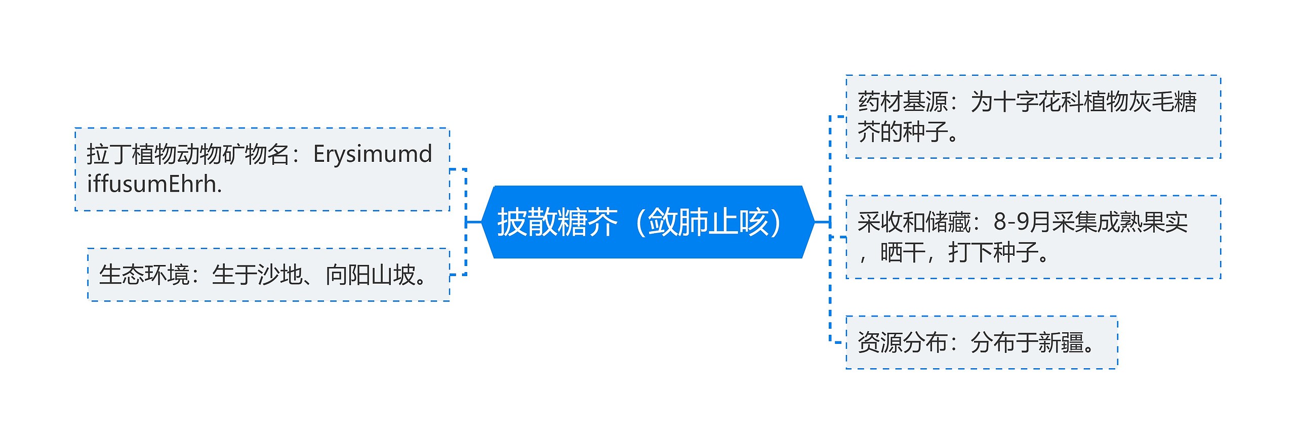 披散糖芥（敛肺止咳）思维导图