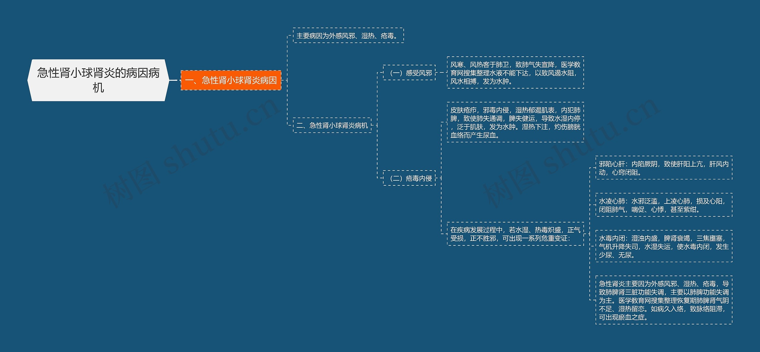 急性肾小球肾炎的病因病机思维导图