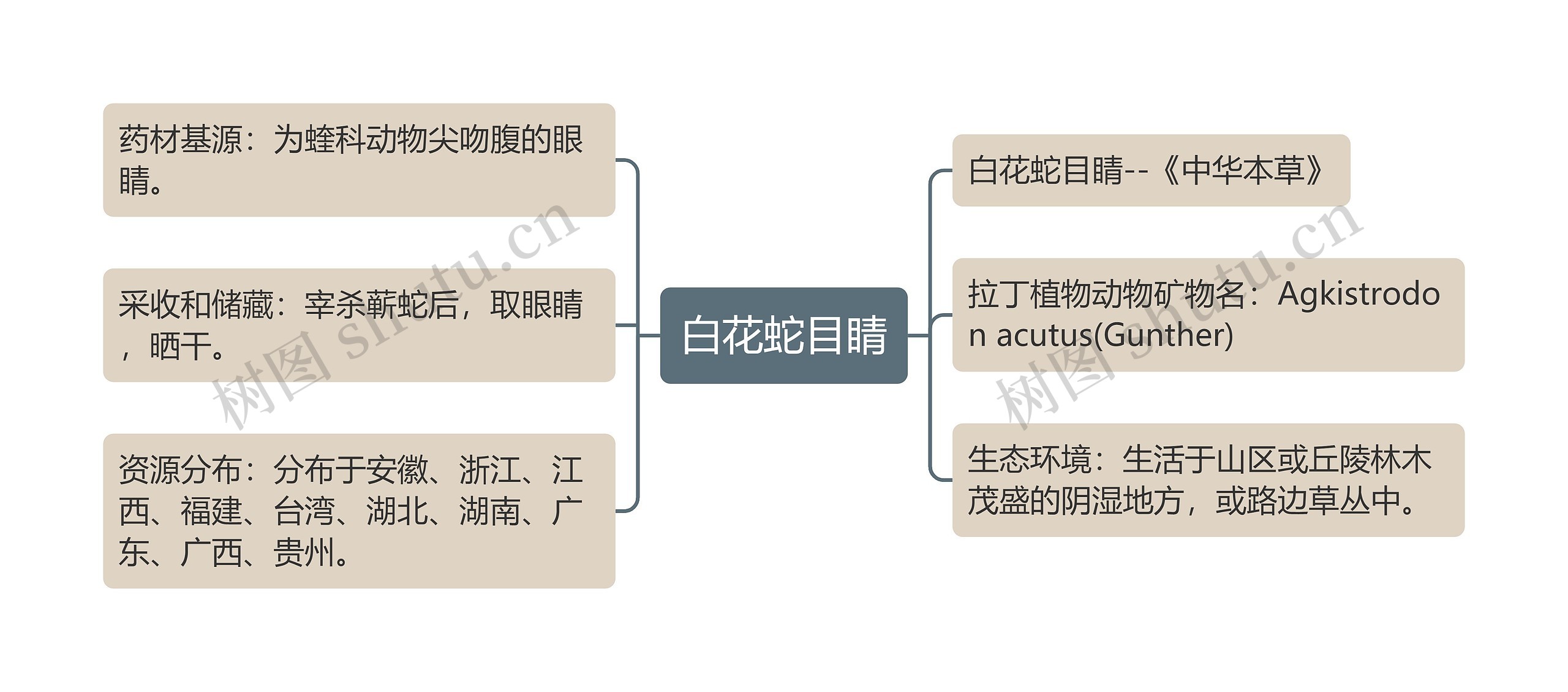 白花蛇目睛思维导图