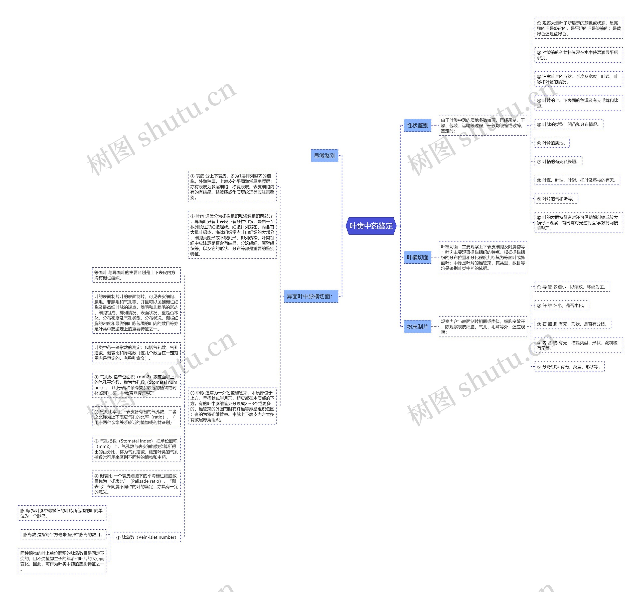 叶类中药鉴定思维导图