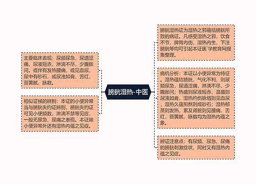 膀胱湿热-中医