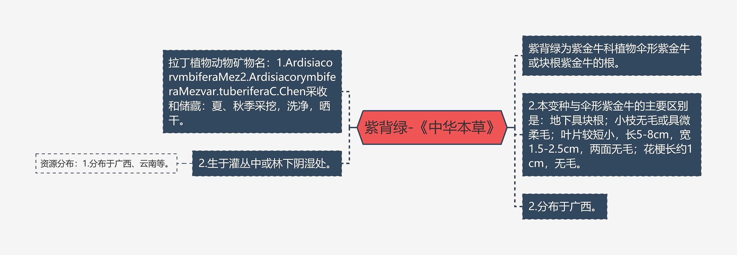 紫背绿-《中华本草》思维导图